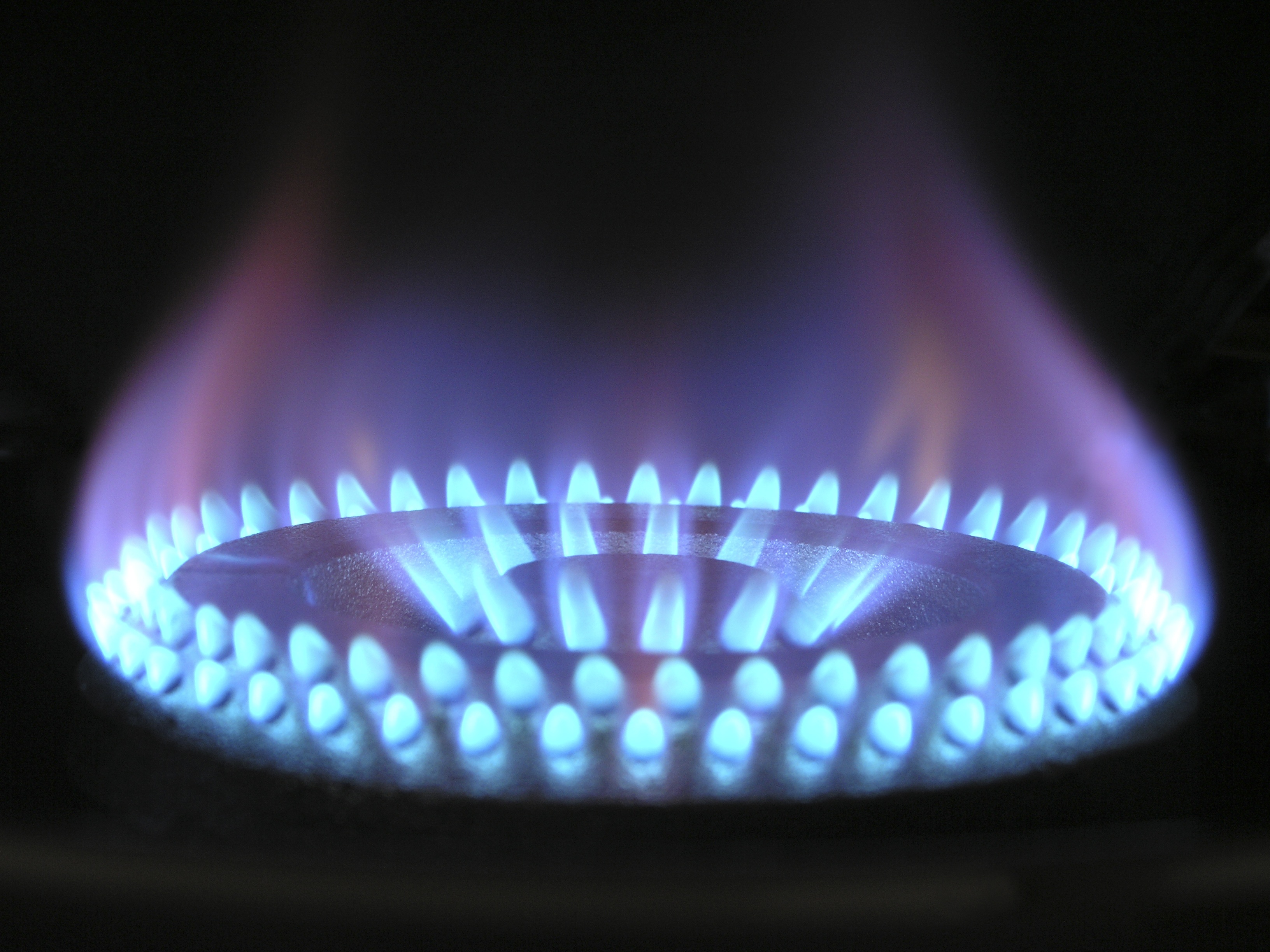 macro photography of turned on gas burner flame blue 2k