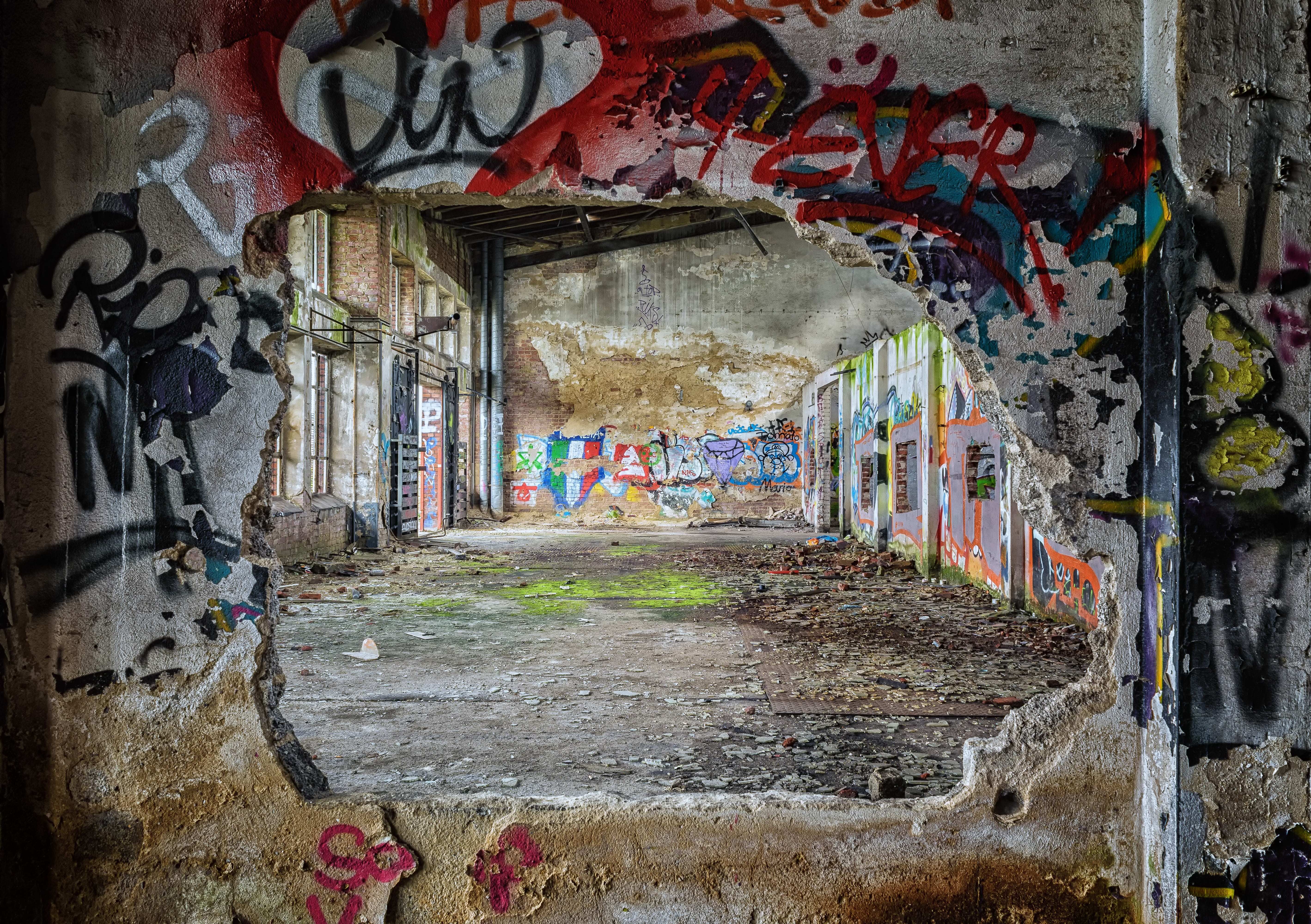 macro shot photography of graffiti wall lost places pforphoto 2k 4k 5k