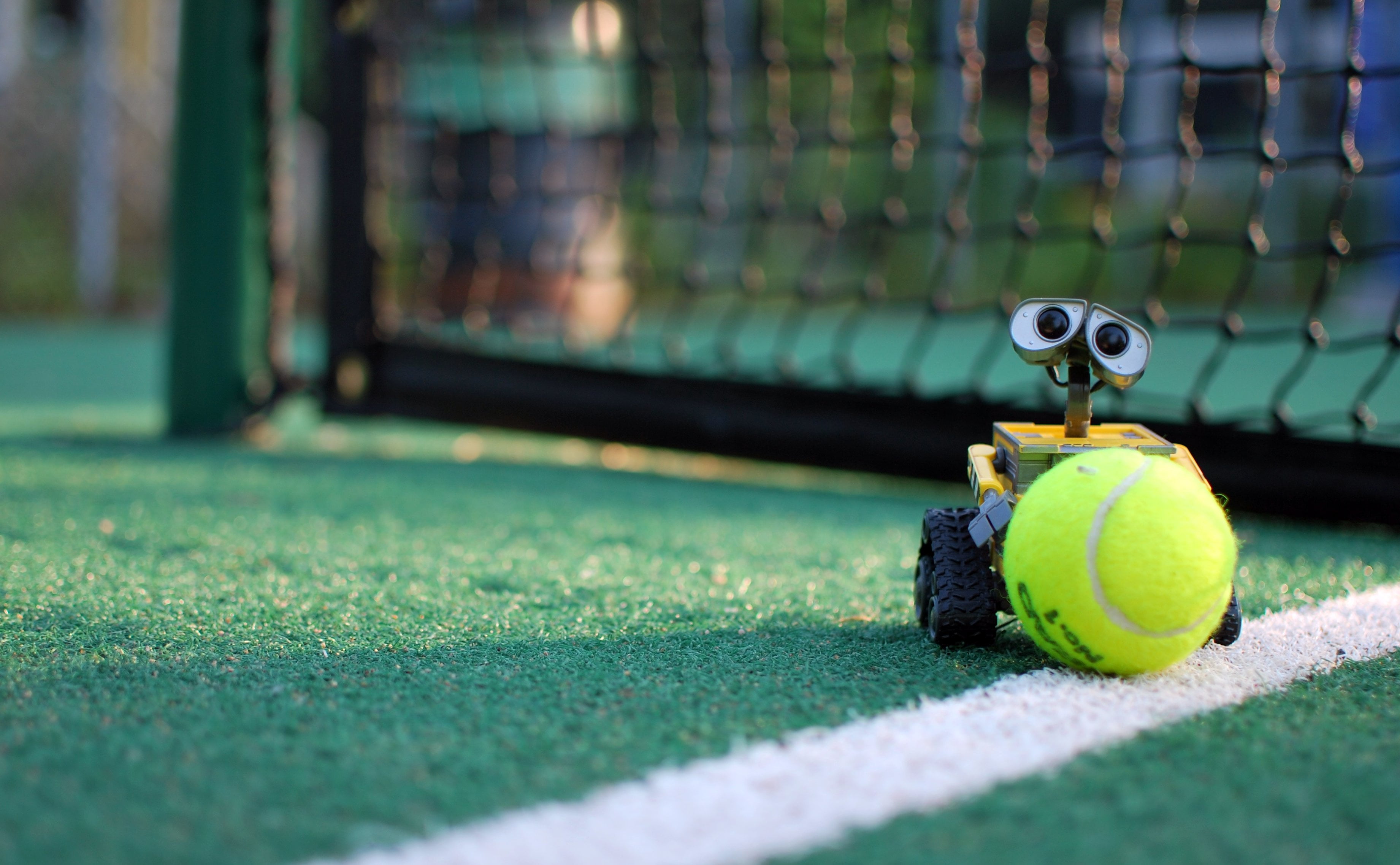 Macro shot photography of wall e holding tennis ball Wall 2k 4k