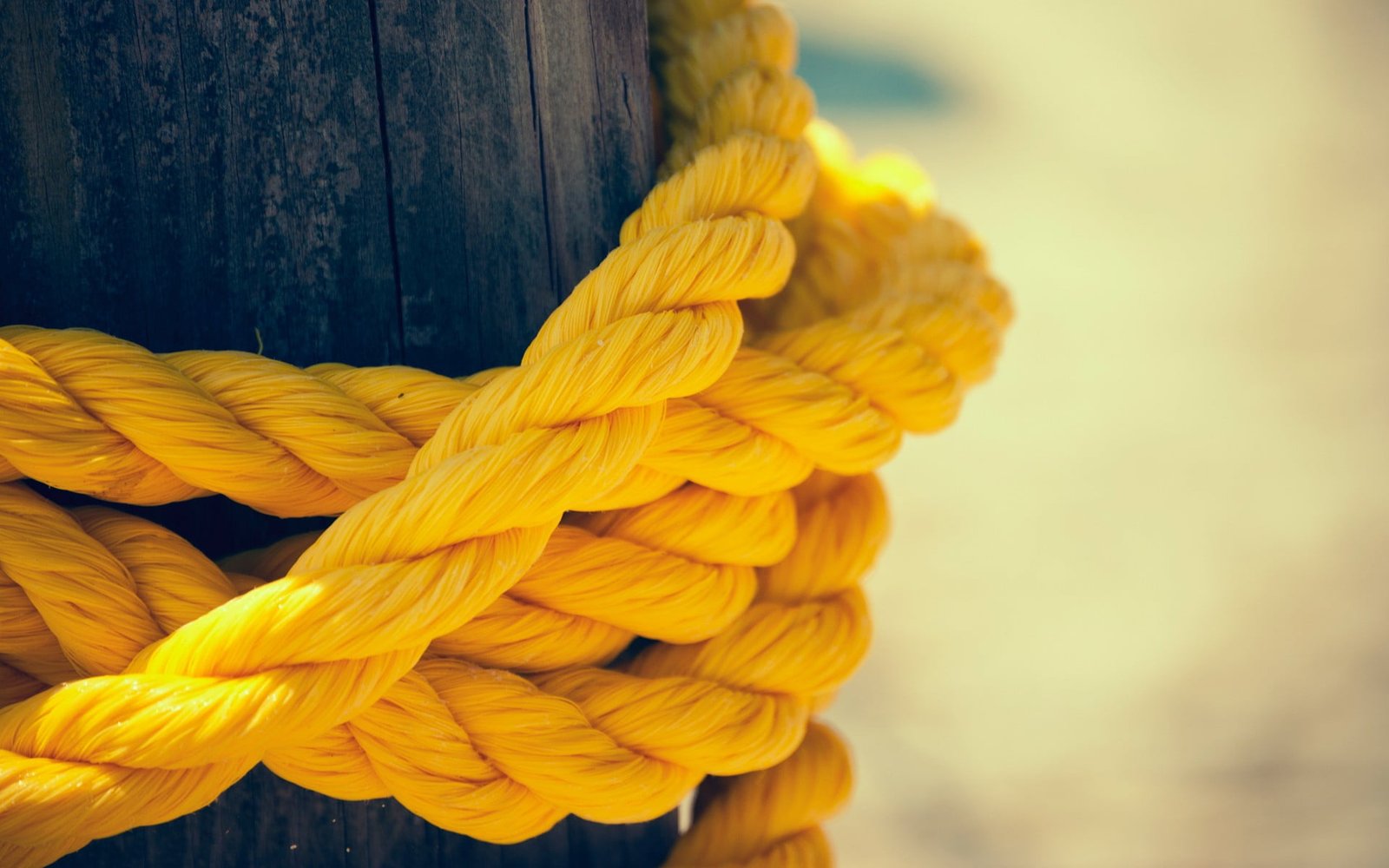 selective focus photo of yellow rope photography roped brown wooden pillar 2k