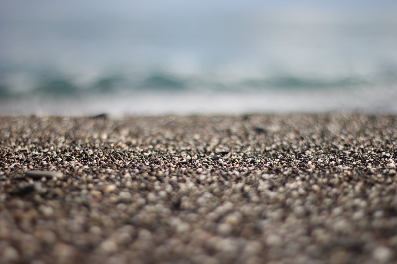 selective focus photography of brown floor ground in macro 2k 4k 5k