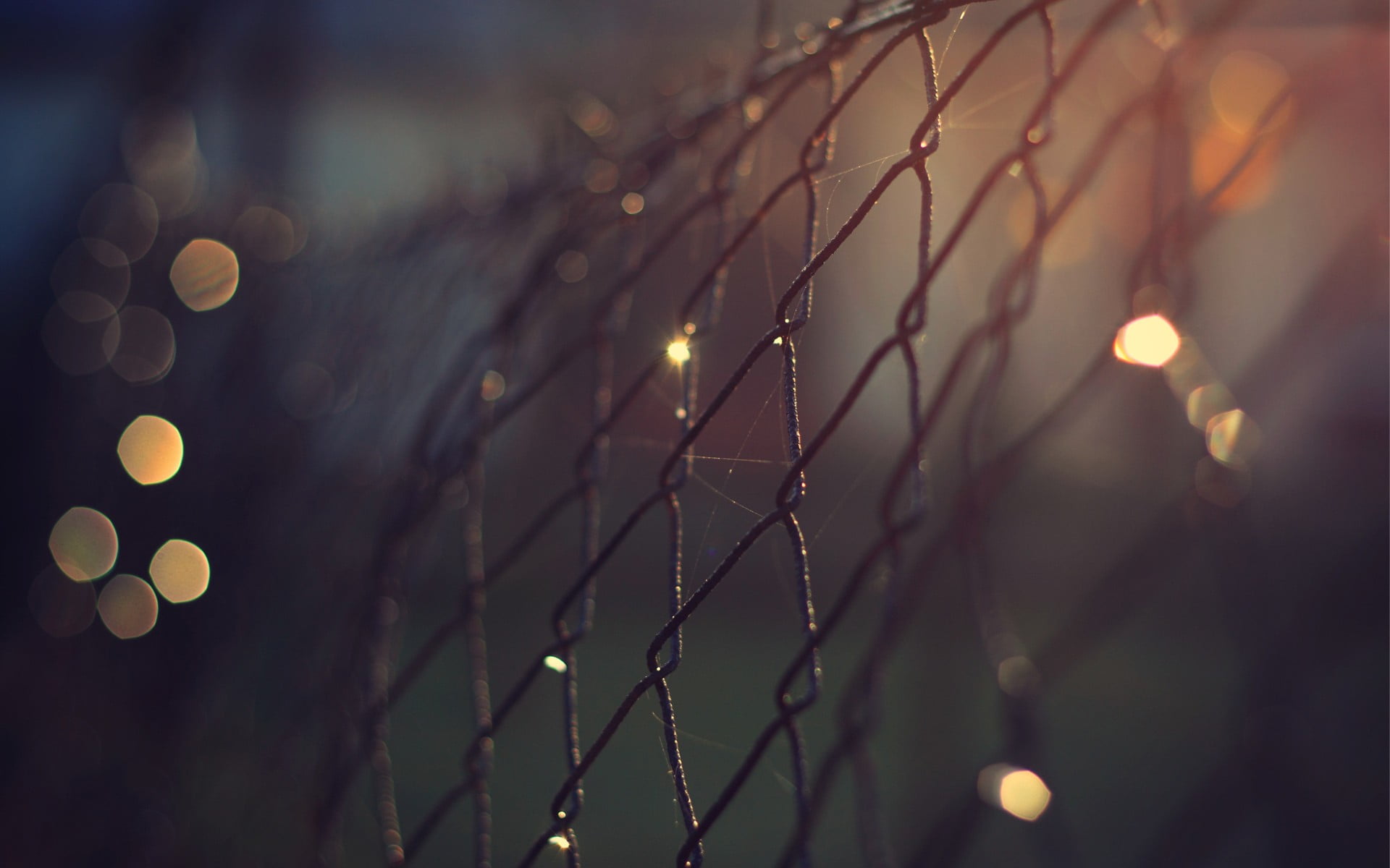 selective focus photography of mesh fence bokeh chain link 2k