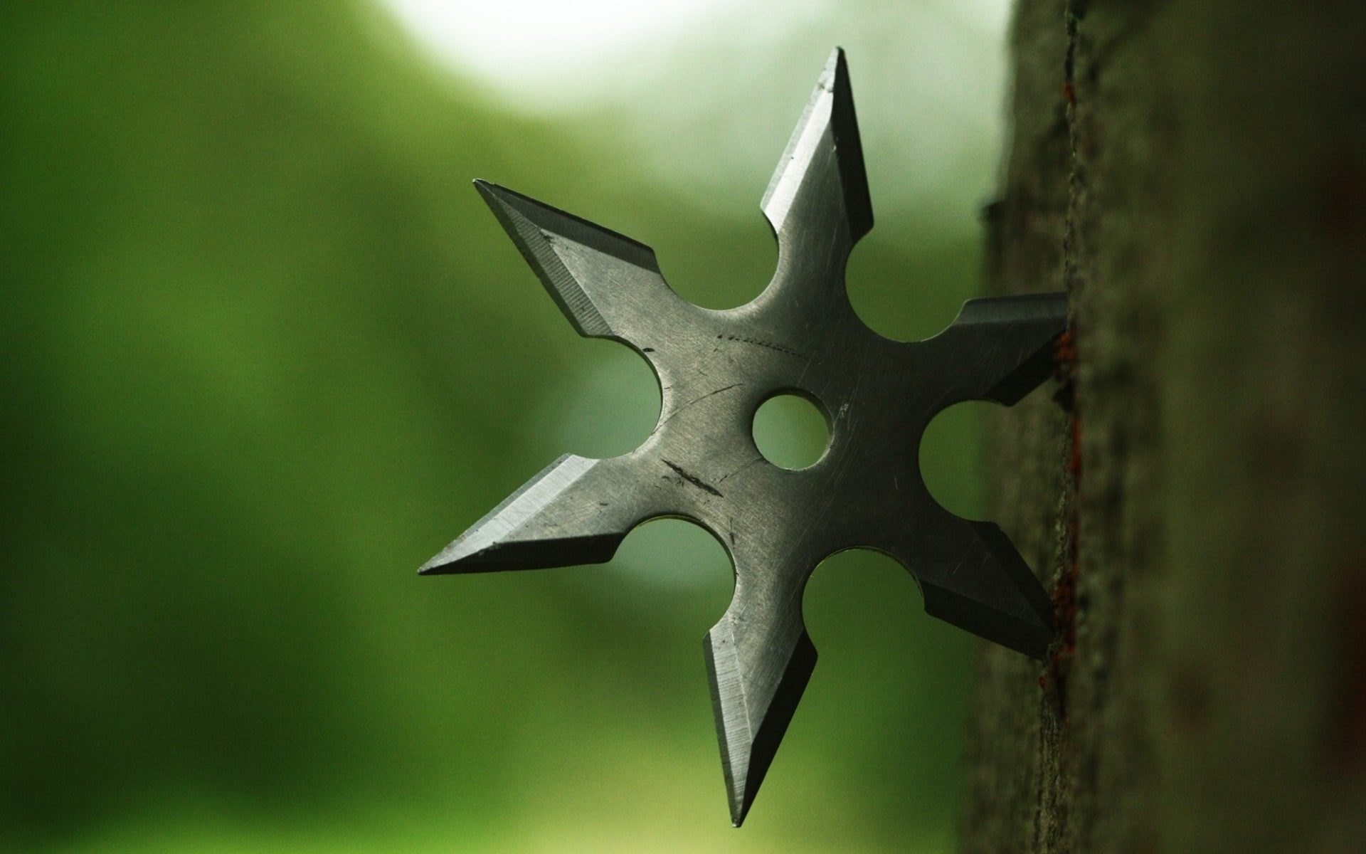shuriken wood depth of field metal closeup macro nature 2k