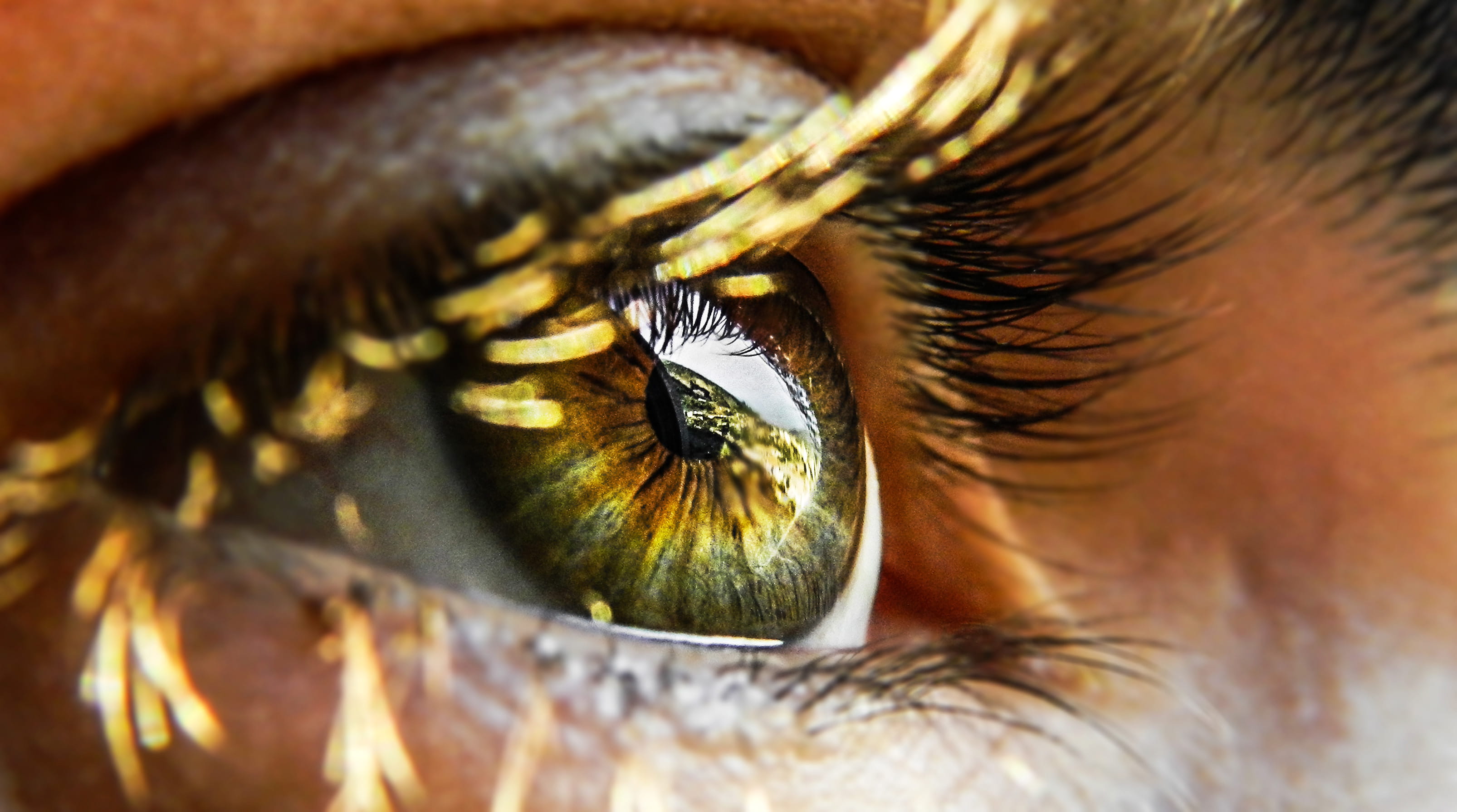 Open Green Eyes closeup eyeball eyelashes photos public domain 2k