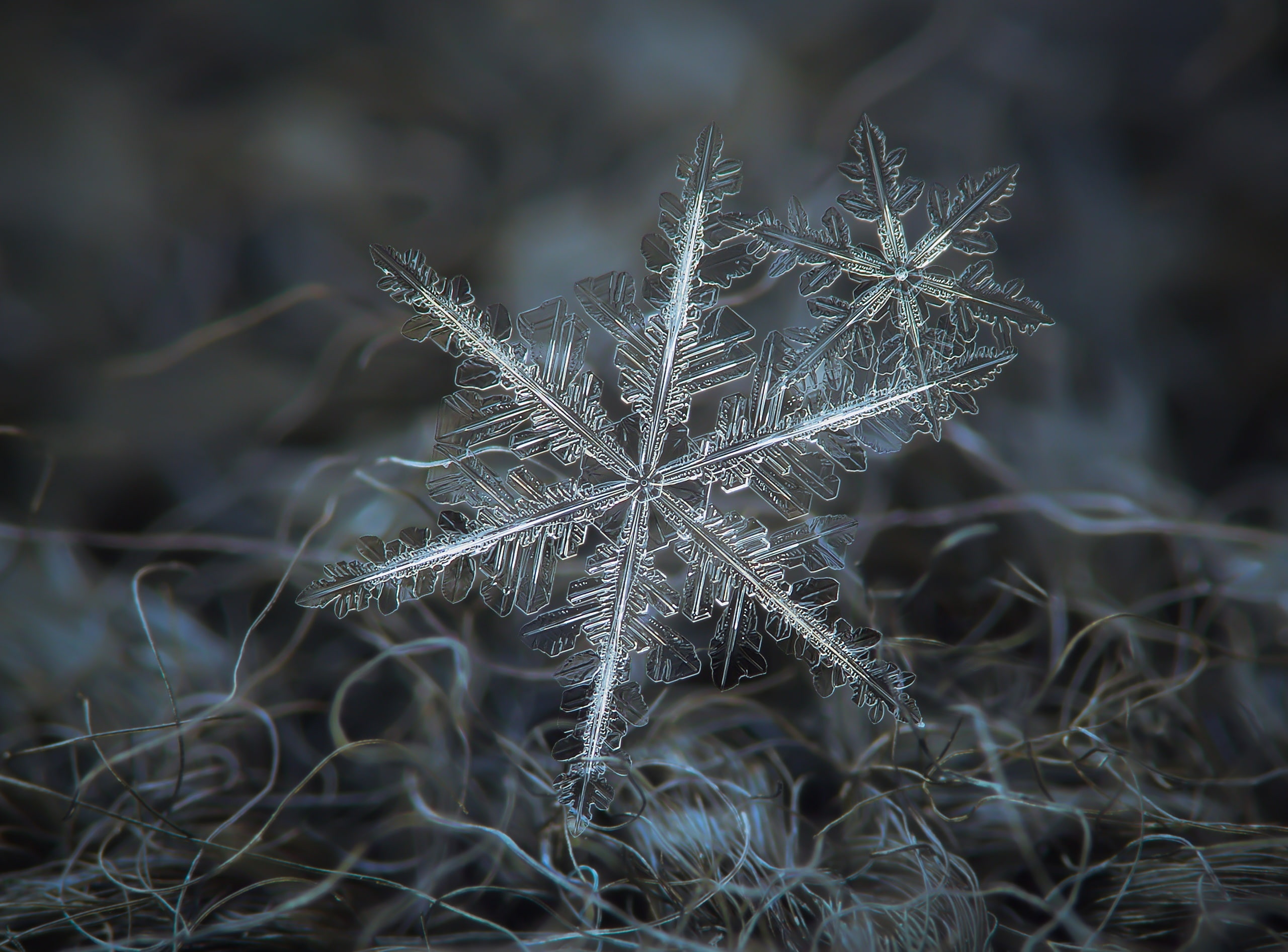 Snowflakes Macro Aero Blue Dark Nature Beautiful Winter 2k