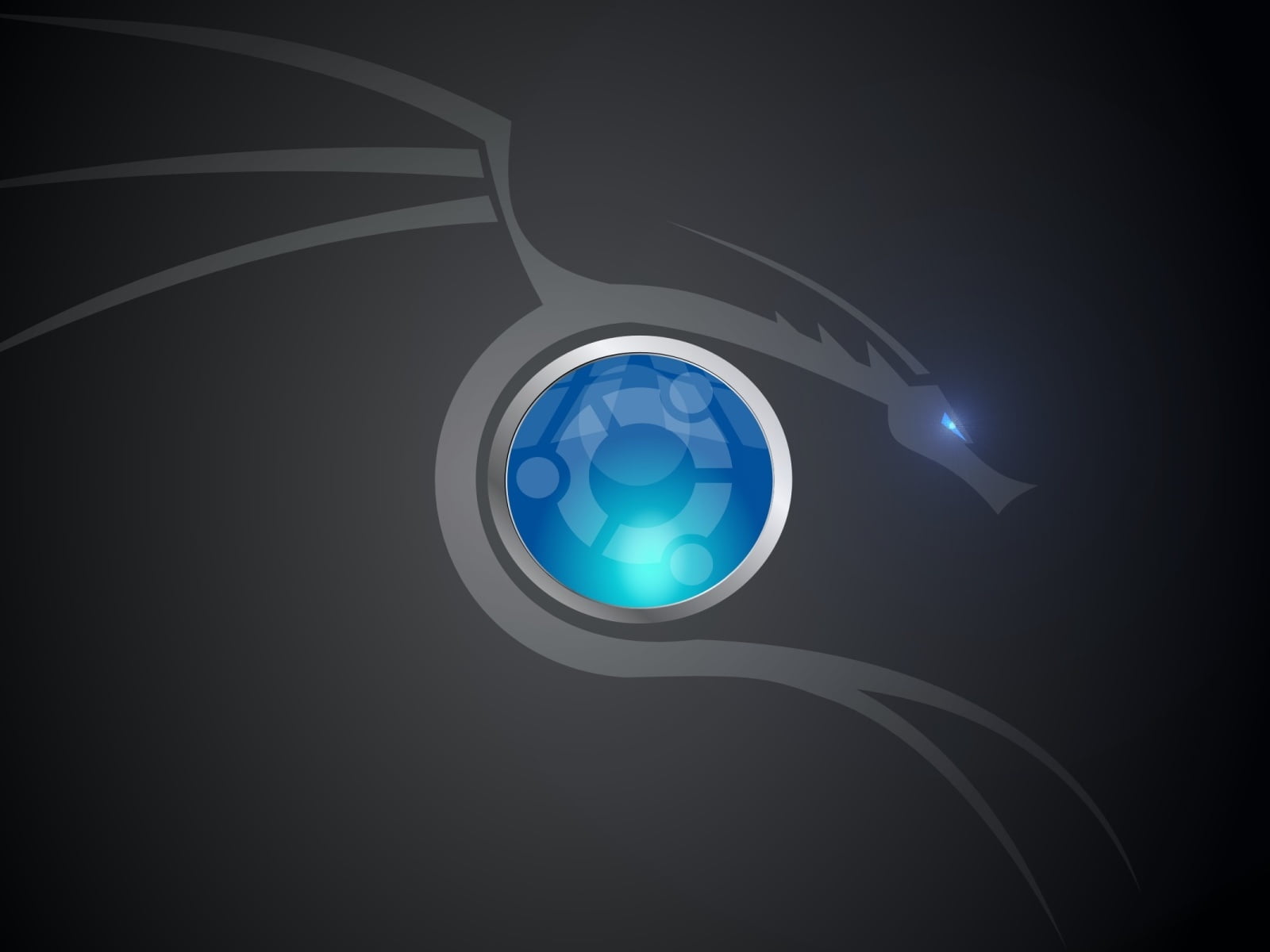 Ubuntu Dragon blue dragon wallpaper Computers Linux linux ubuntu 2k