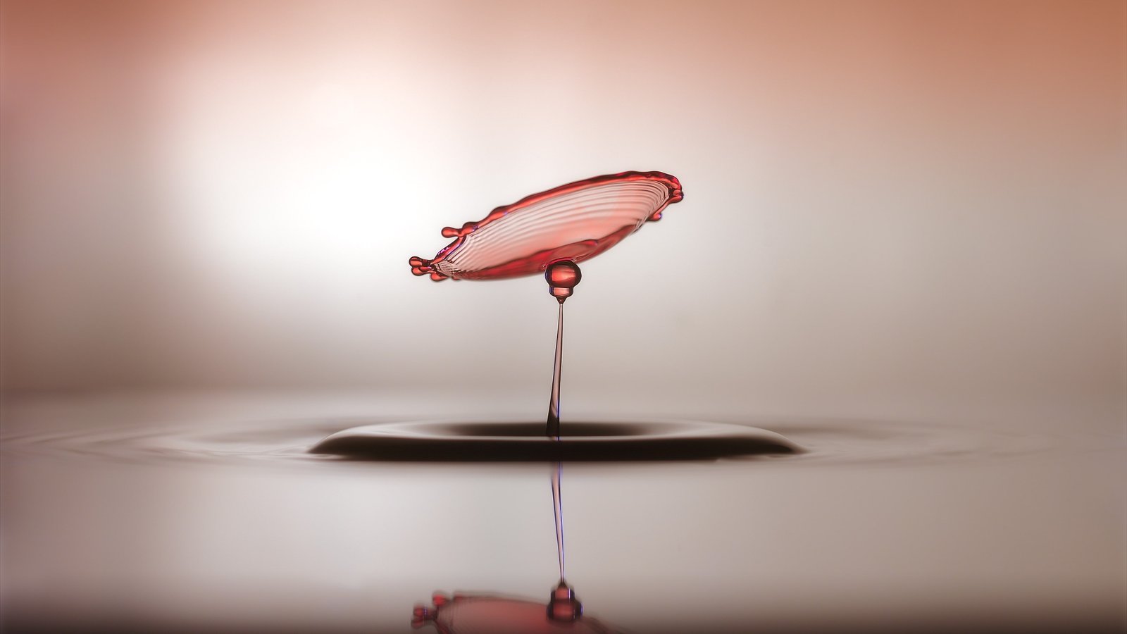 water drops macro 2k 4k