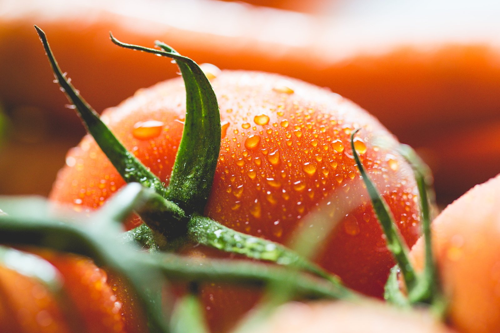 Wet Tomato Close Up cooking drops food foodie fresh healthy 2k 4k