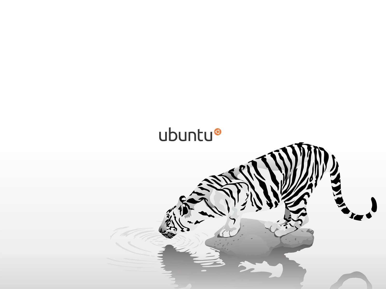 white tiger illustration Linux GNU Ubuntu western script 57 2k