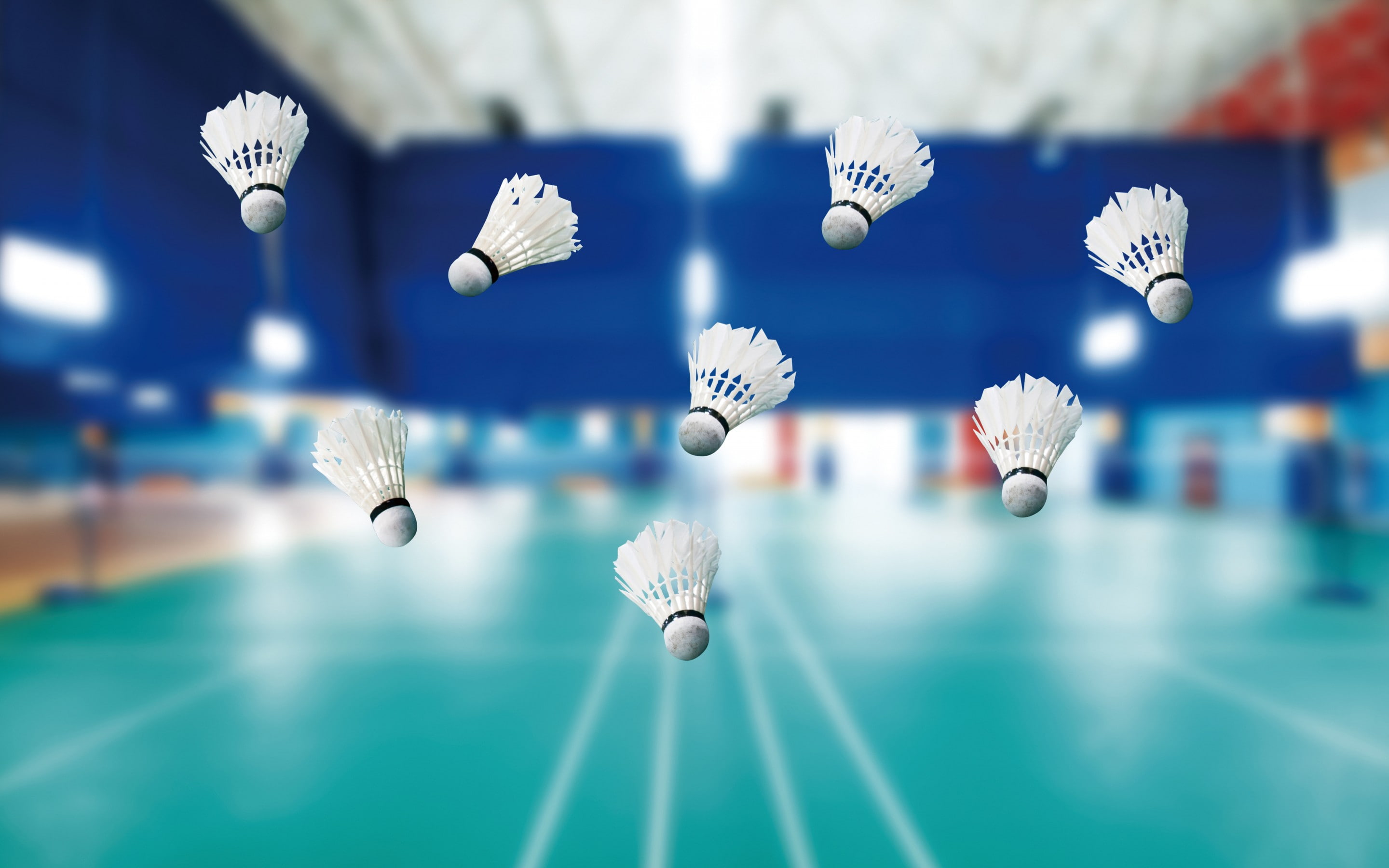 Badminton white badminton shuttlecock lot sports court gym 2k
