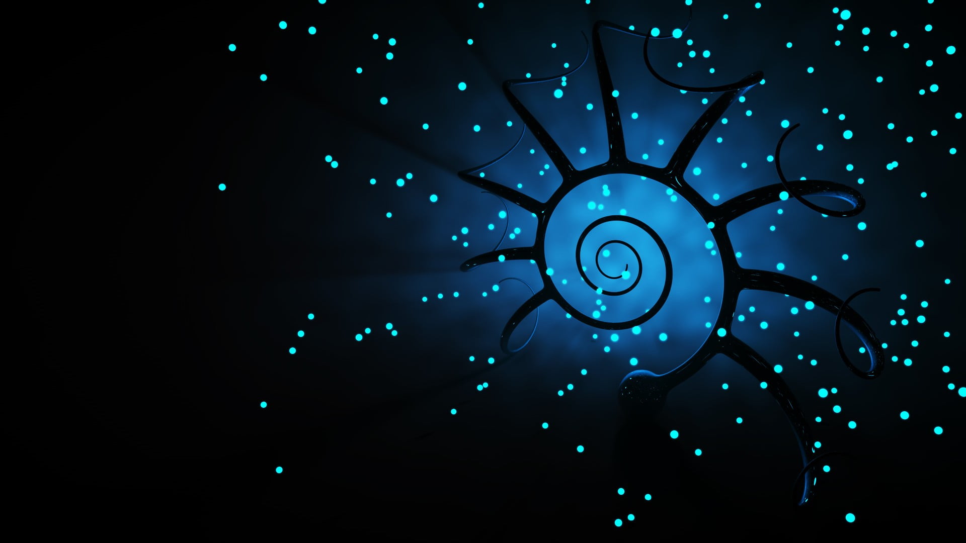 black and blue background swirl digital wallpaper 2k