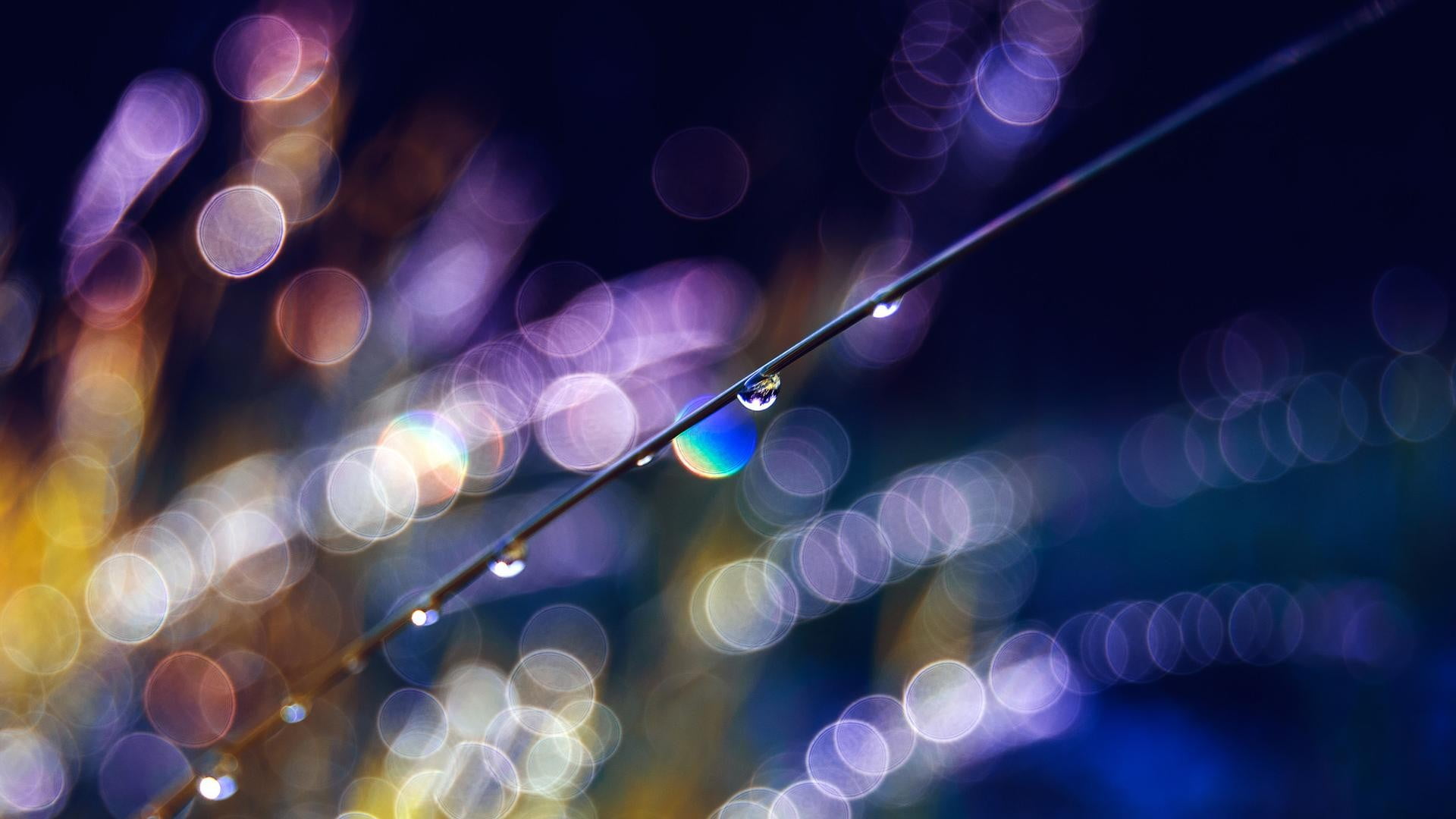 Bokeh photography blurred water drops illuminated defocused 2k
