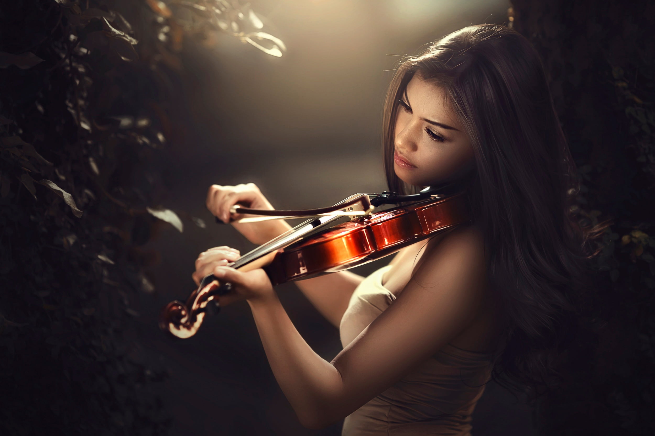 brown violin illustration bow bokeh violinist music women 2k