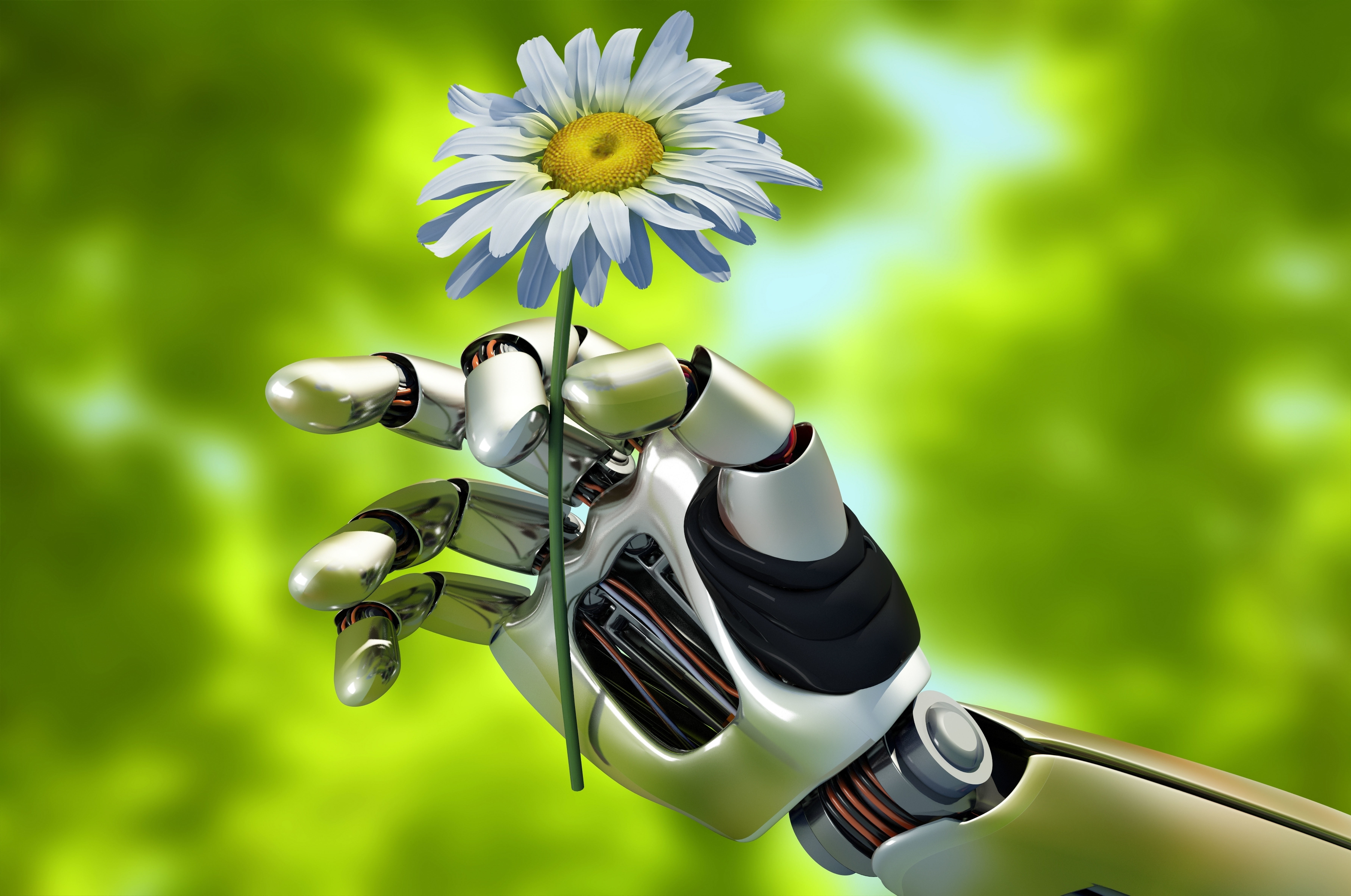 Daisy flower summer macro nature mechanism robot hand blur 2k 4k 5k