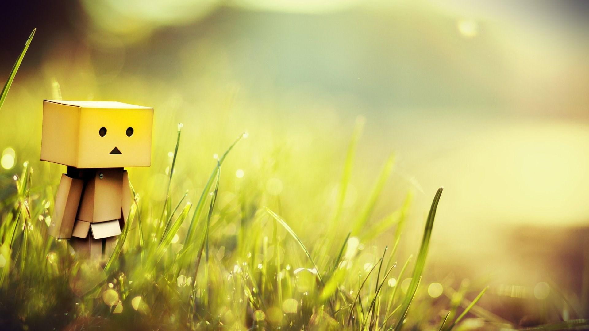 Danbo Box Bokeh brown box man 2k