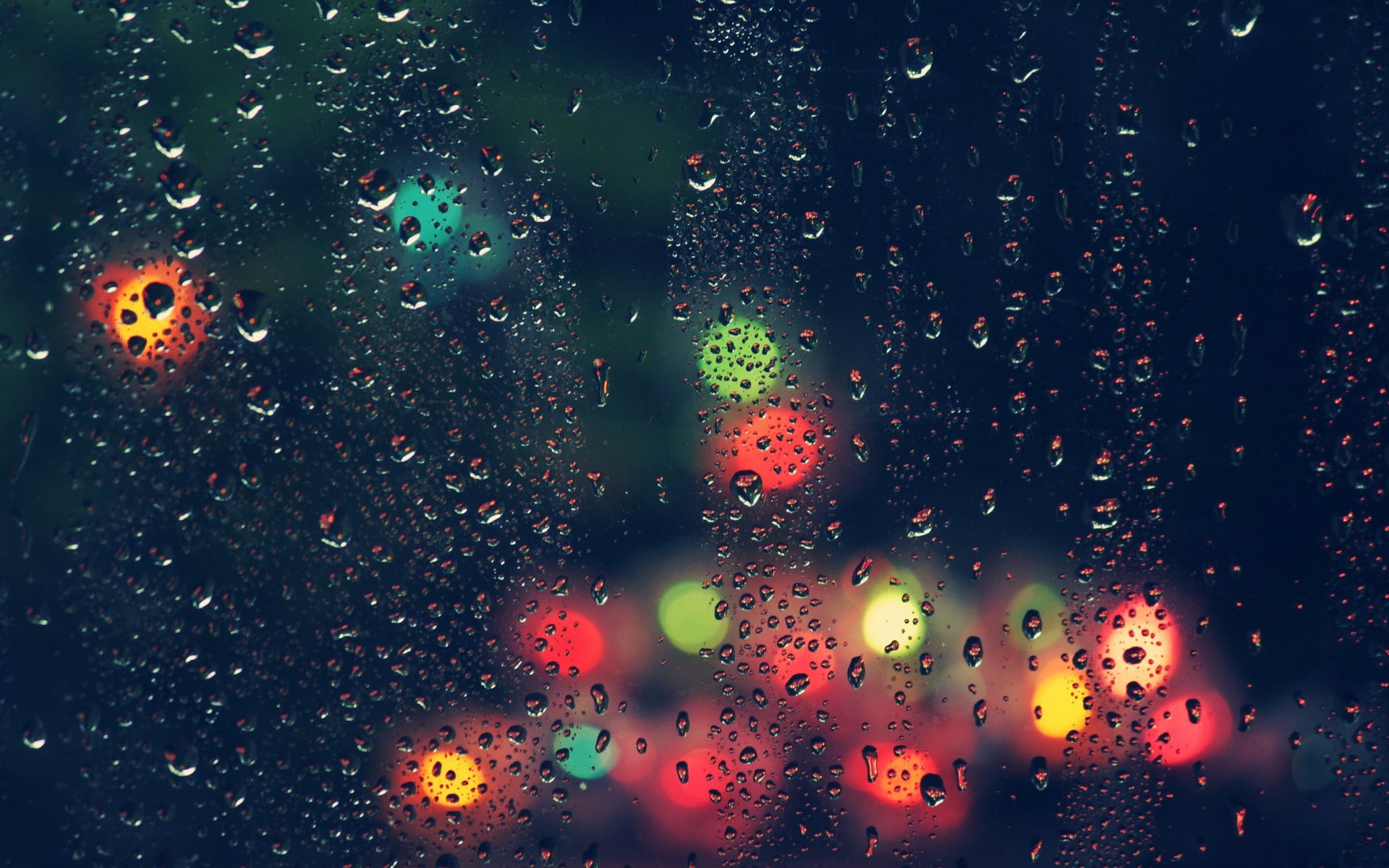 dew drops and multicolored lights colorful rain water 2k
