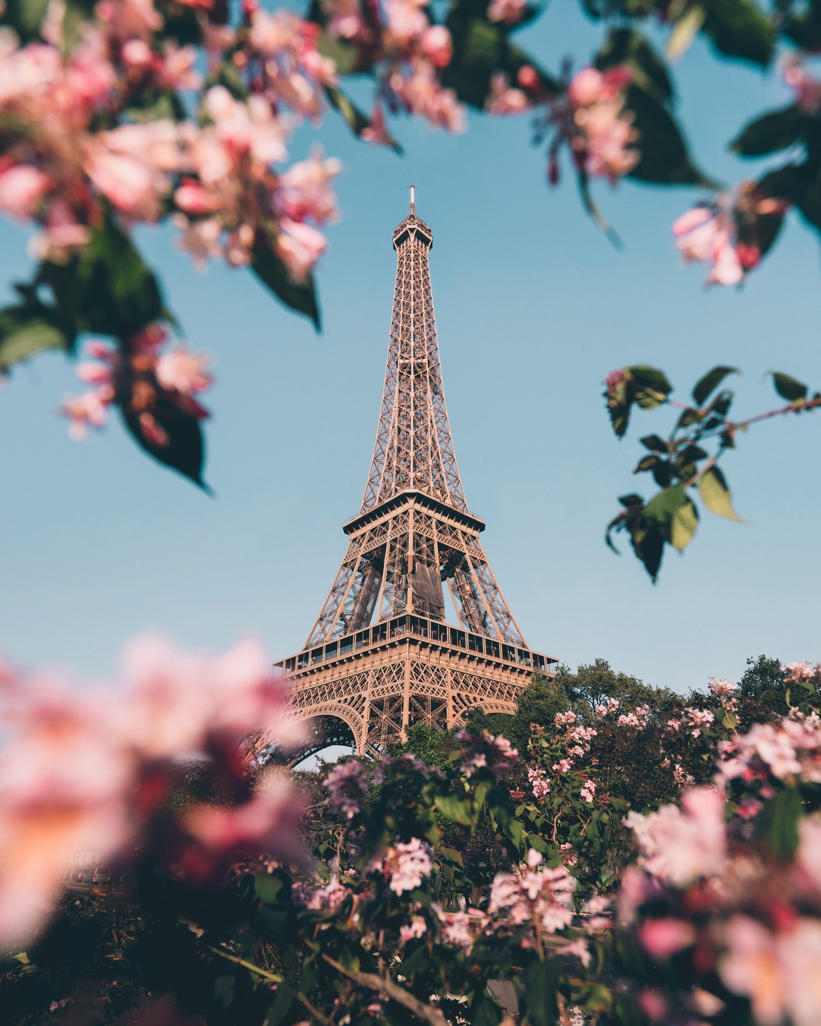 Eiffel Tower Shallow Focus Photography of tower Paris 2k 4k
