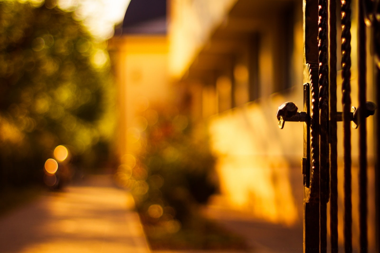 gates bokeh yellow sunlight depth of field focus on foreground 2k
