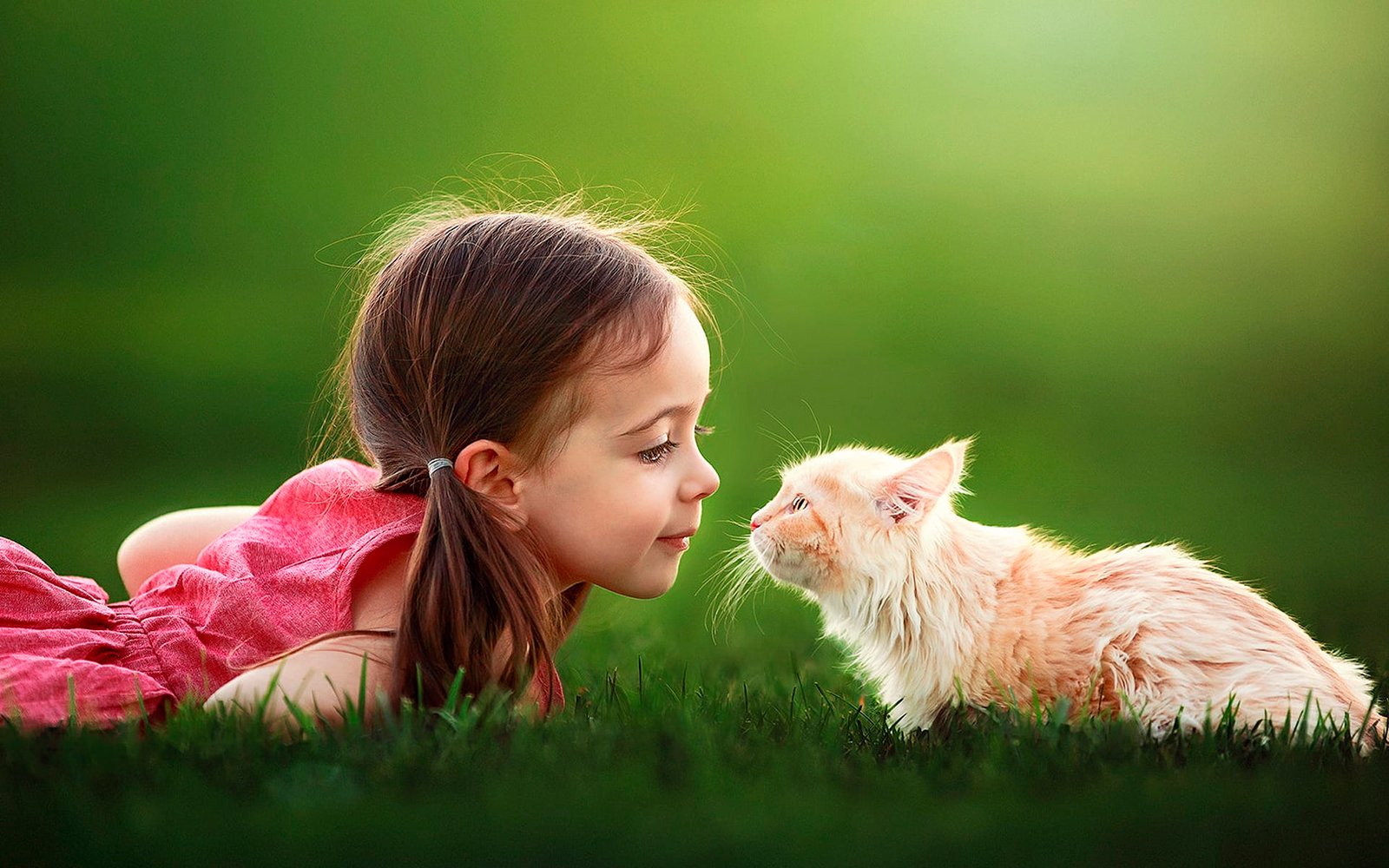 girl s red sleeveless dress children cat grass bokeh pets 2k