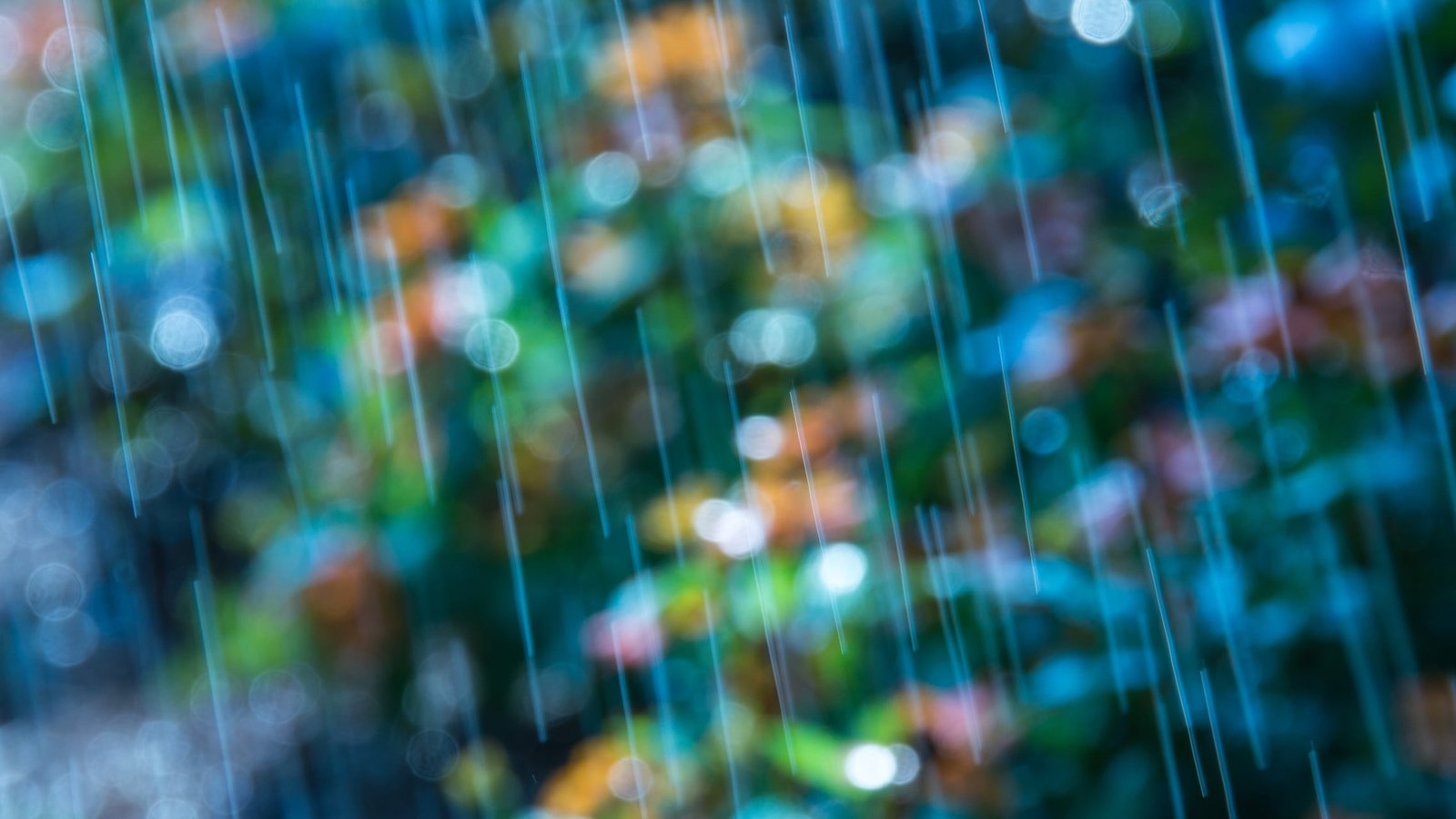 multicolored light bokeh macro flowers background rain blue 2k