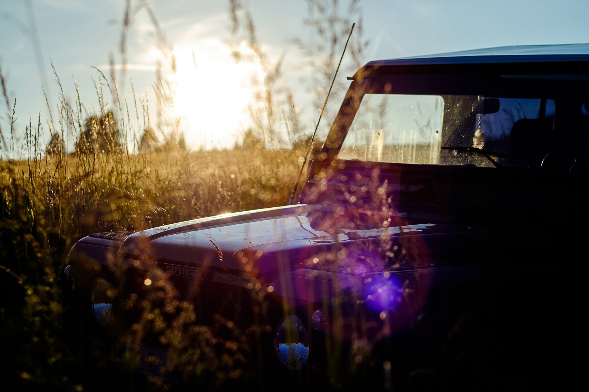 photography nature sunlight car ground lights plants 2k