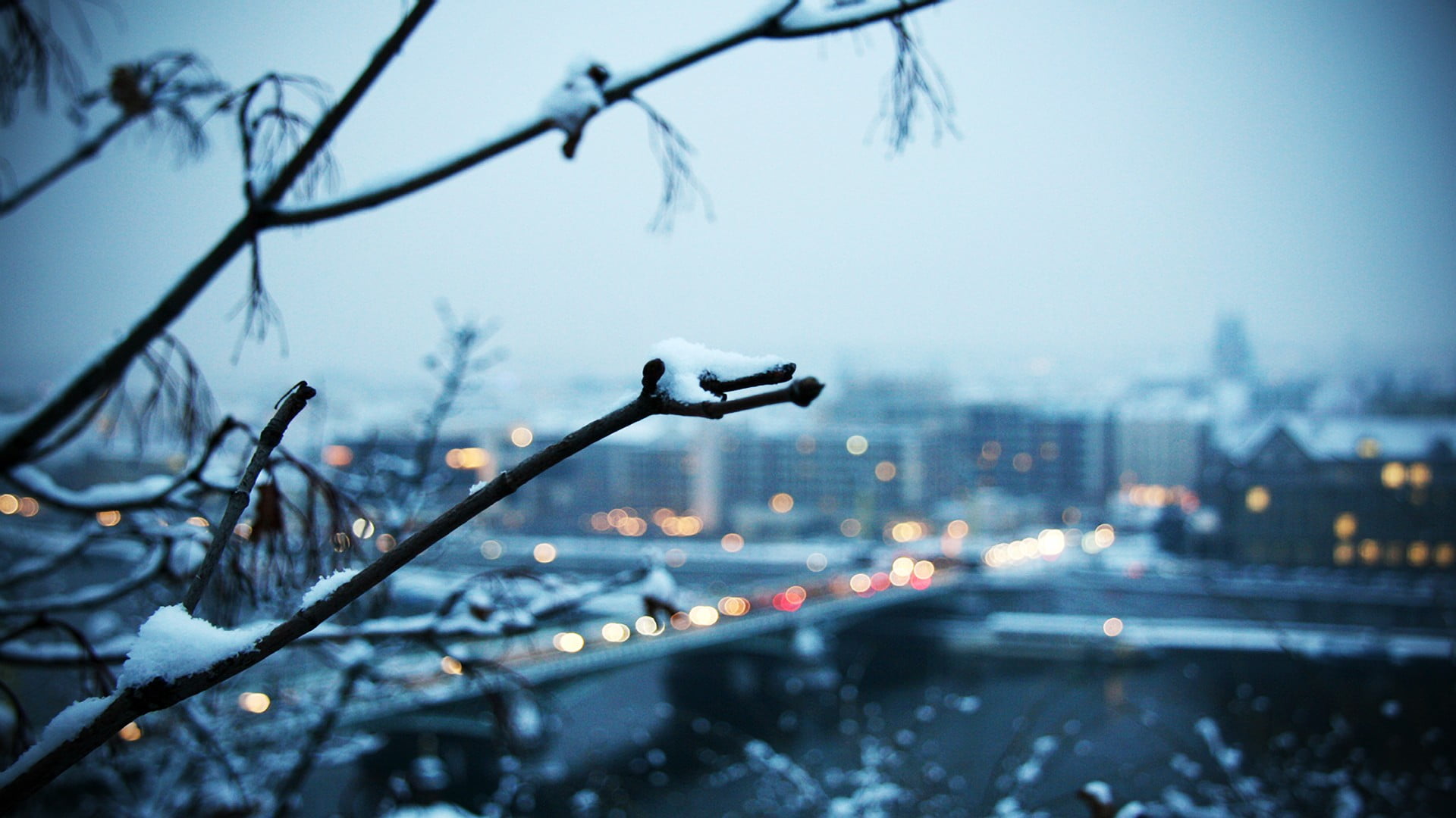 snow covered bare tree on branch bokeh winter cityscape 2k