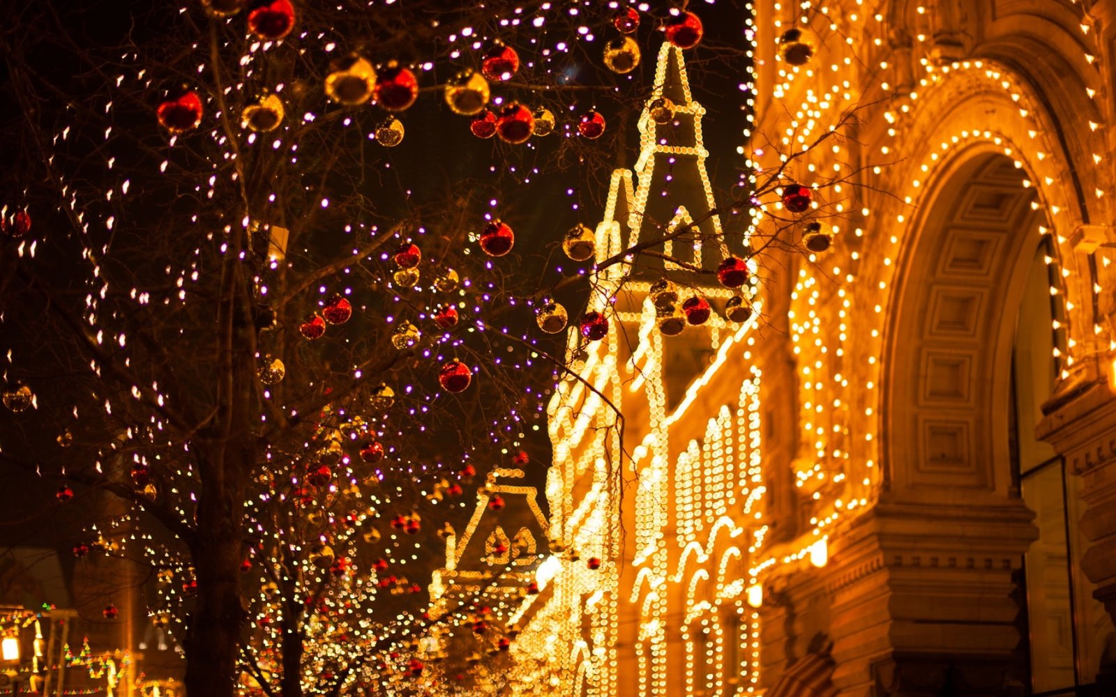 string lights and trees night new year Christmas The city 2k