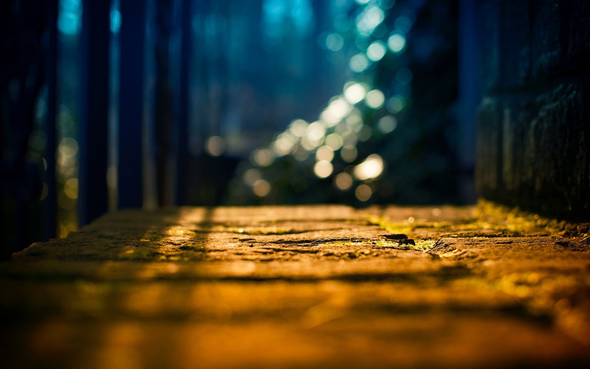 sunlight depth of field bokeh nature path defocused backgrounds 2k