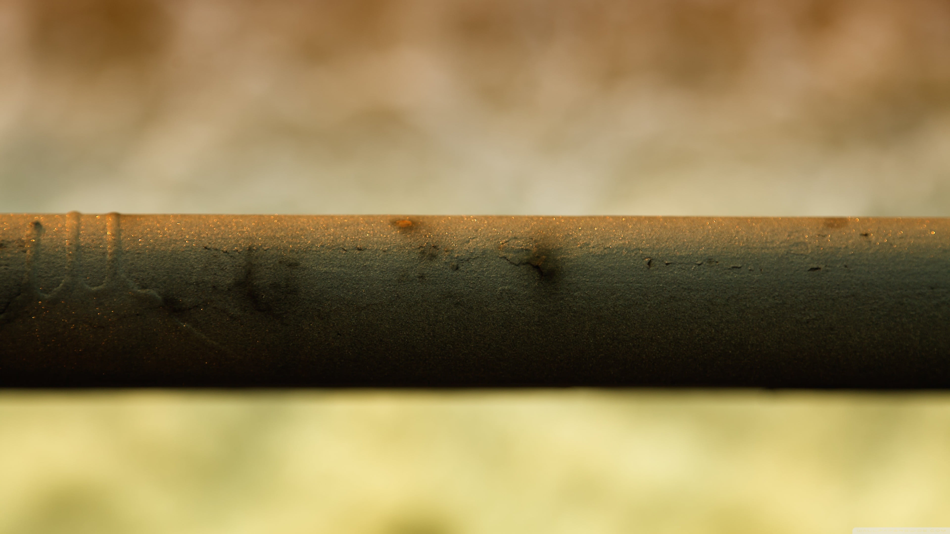 untitled closeup bokeh no people close up selective focus 2k 4k