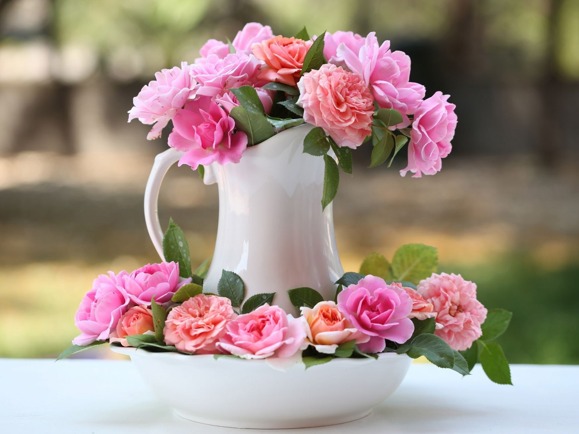 Vase pink rose flowers bokeh 2k