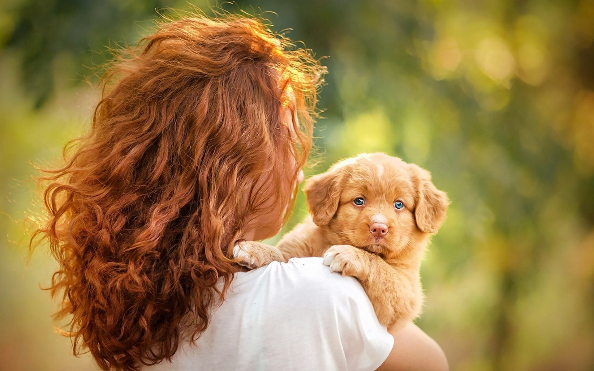 women outdoors redhead dog puppies bokeh domestic animals 2k