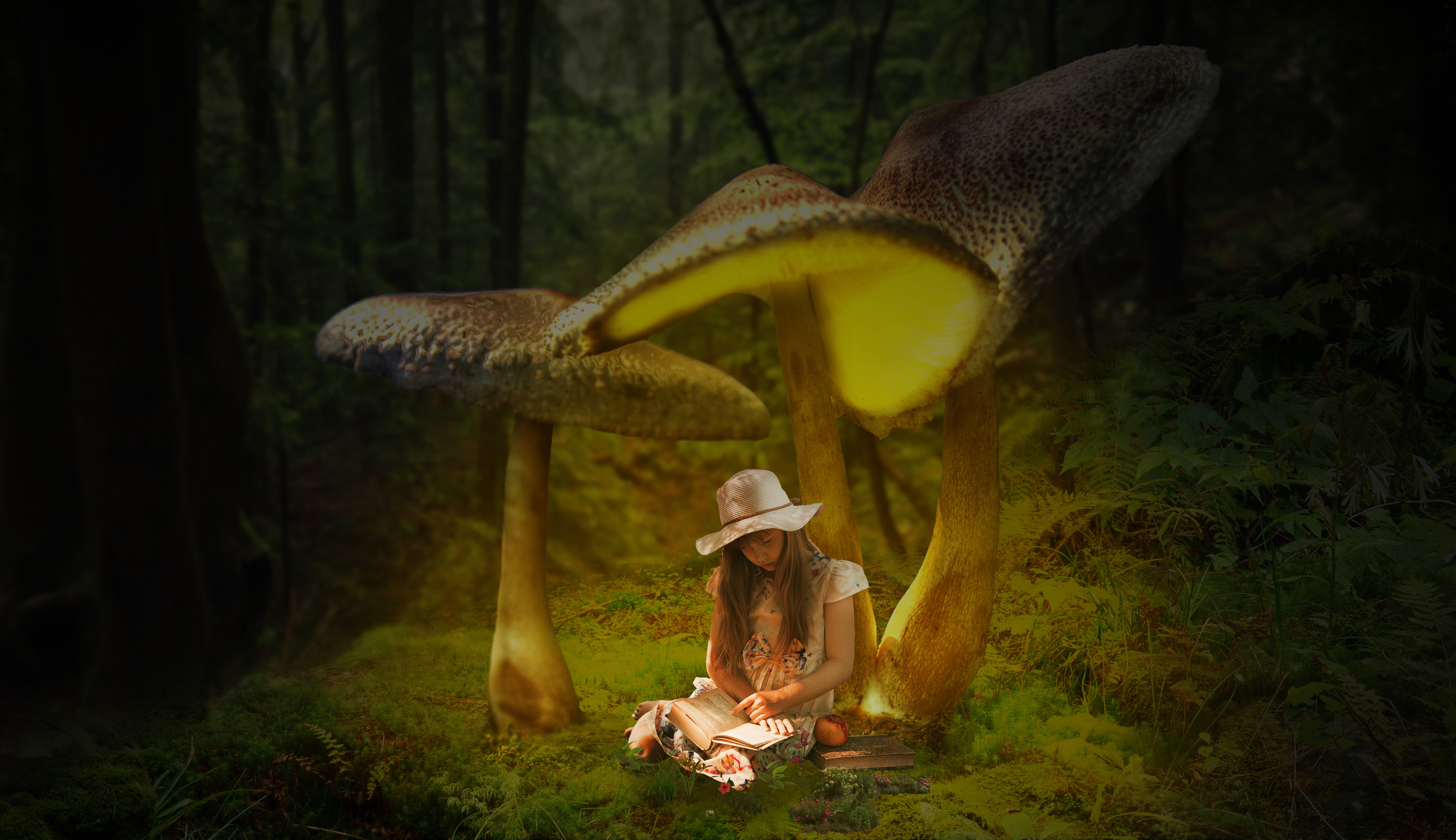 book fantasy girl composing fairytale dream mood photomontage 2k 4k 5k