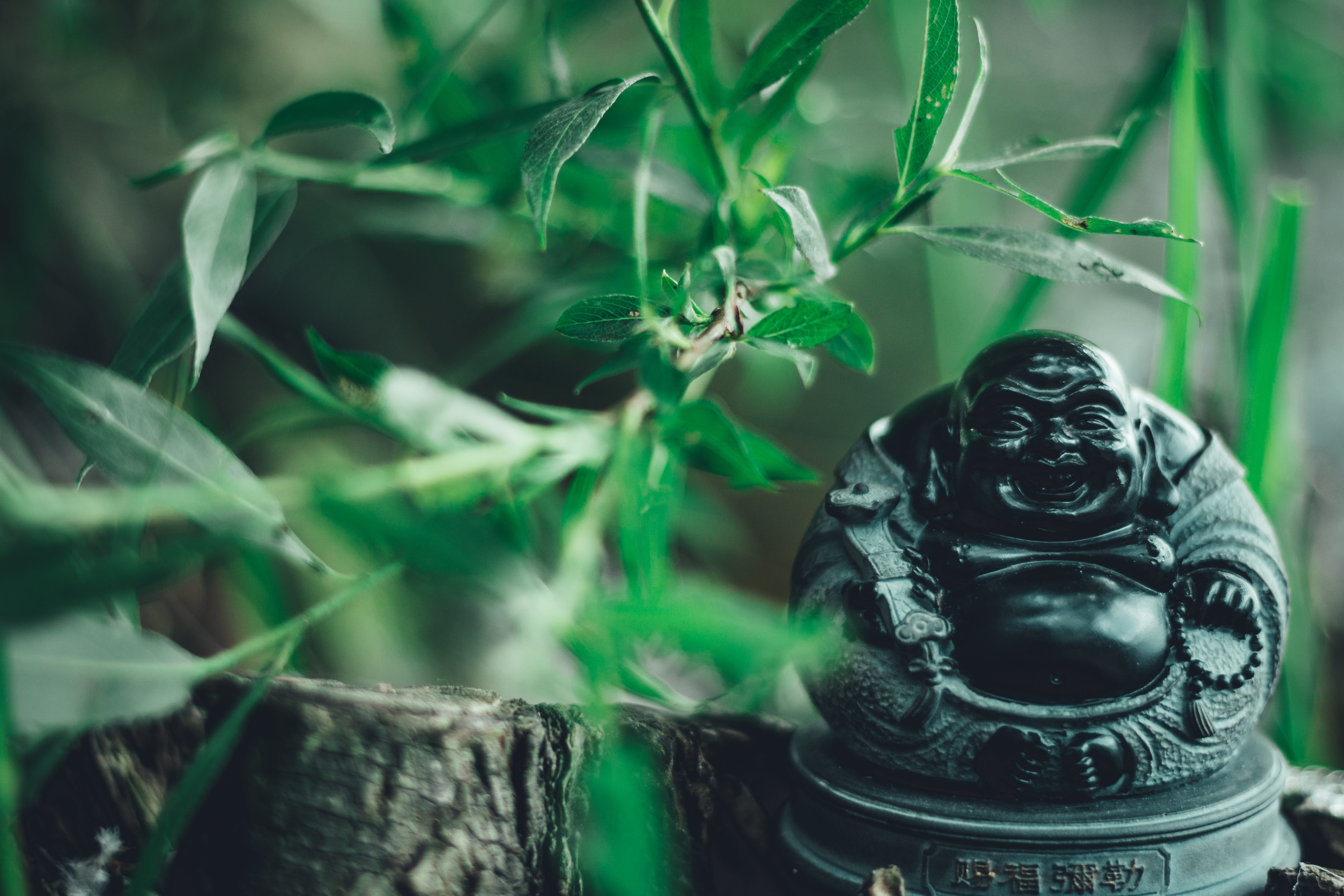 buddha religion laughing happy buddhism statue 2k 4k 5k