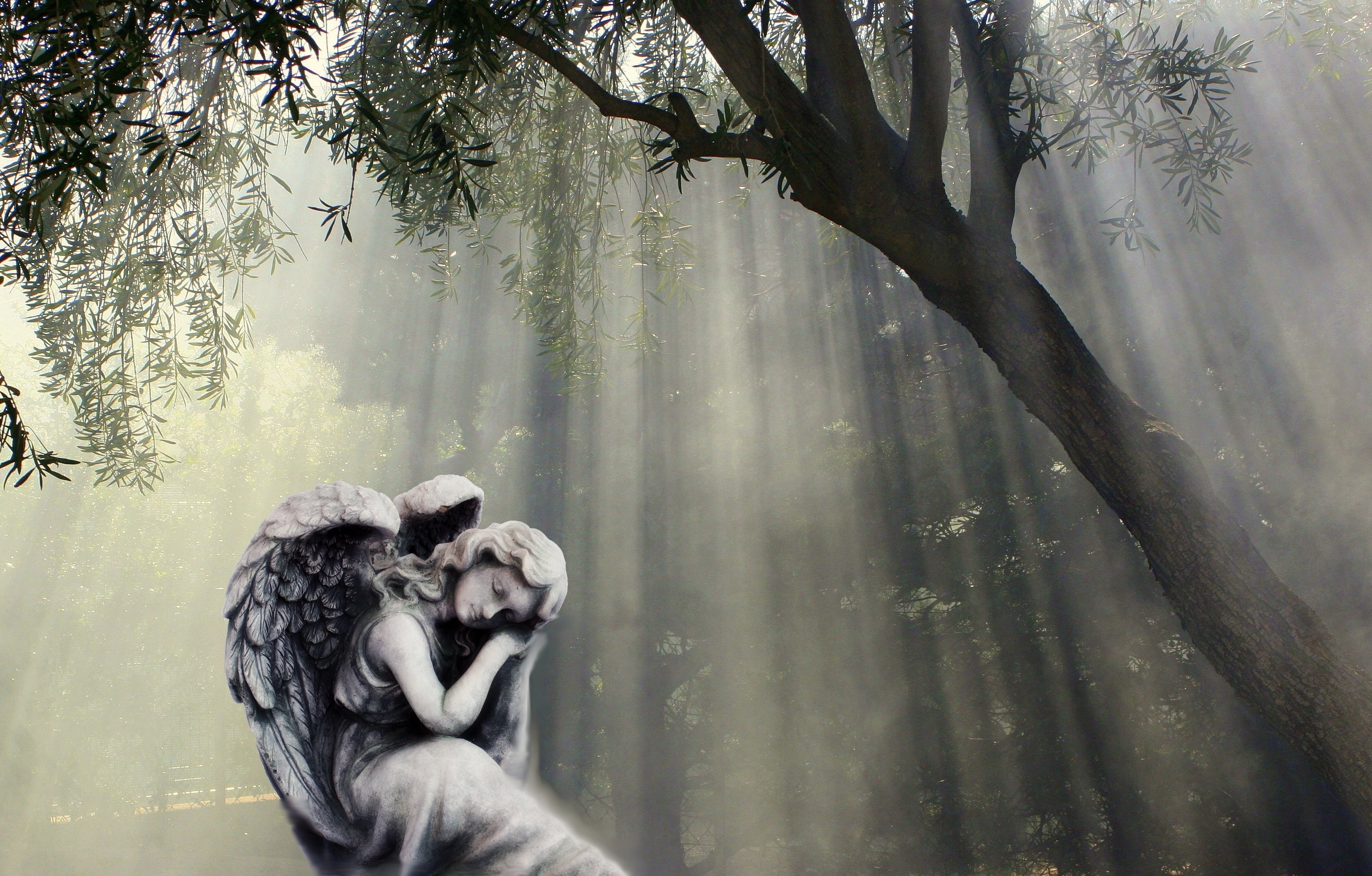 angel statue under tree sculpture figure thoughtful 2k