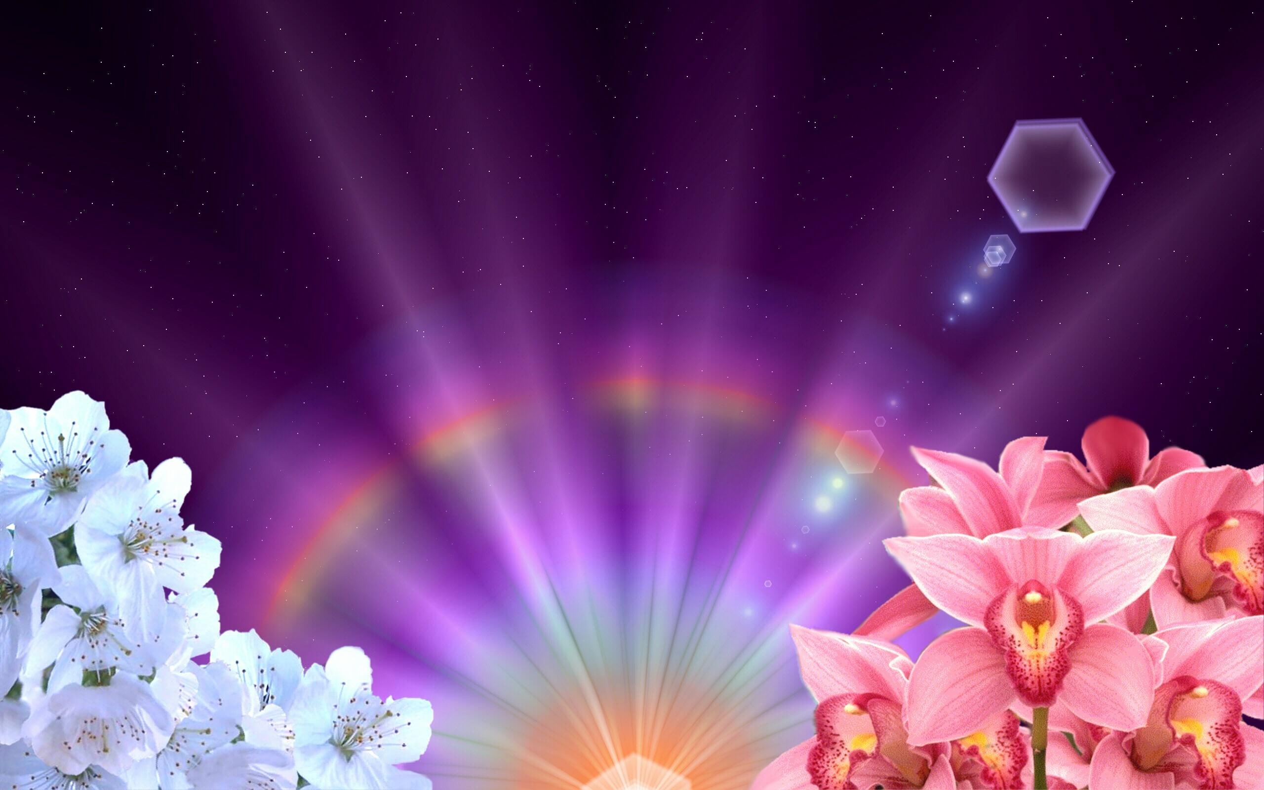 Arc Of The Sun nature flower space mystic and landscapes 2k