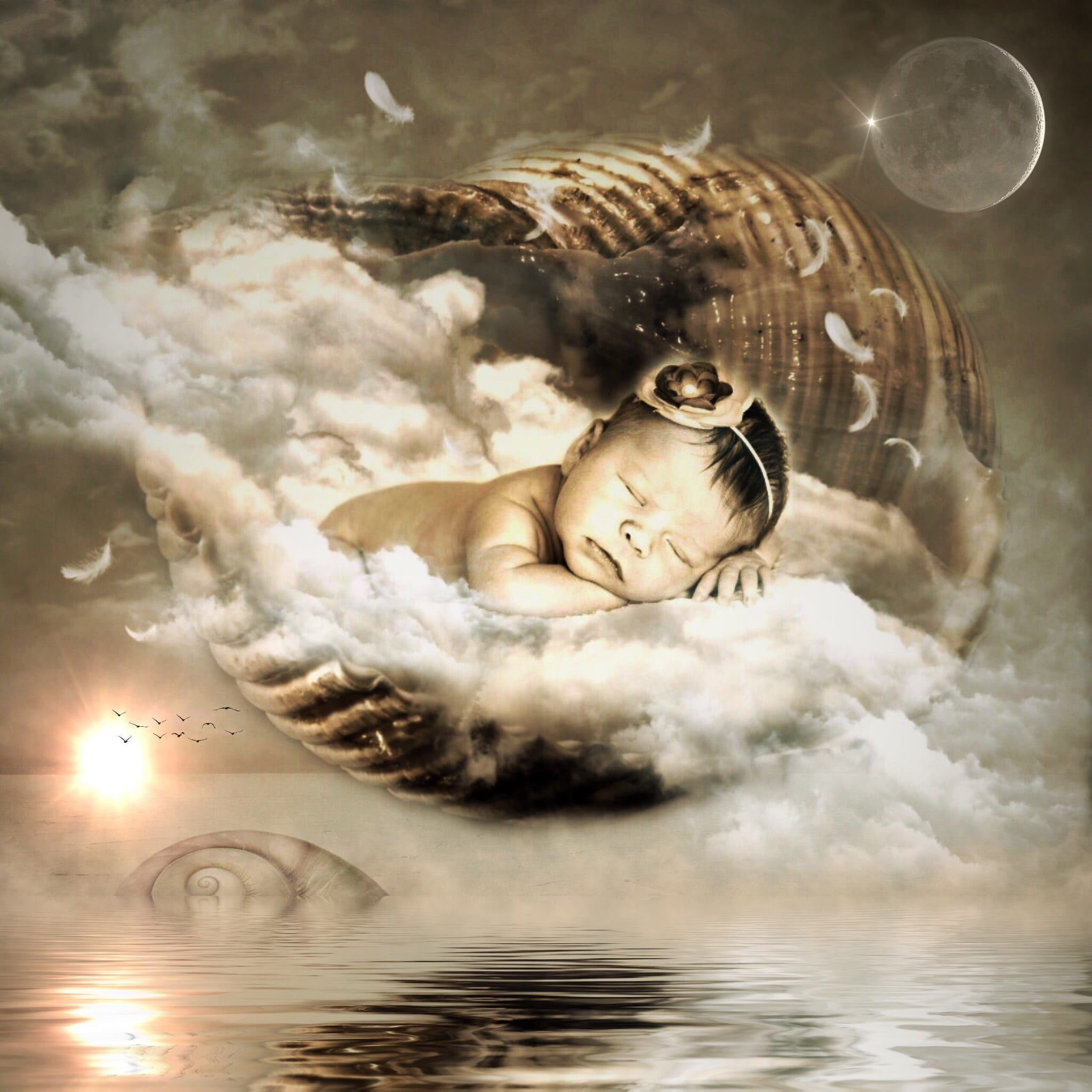baby sleeping on cloud photo shell clouds feather sky sun 2k