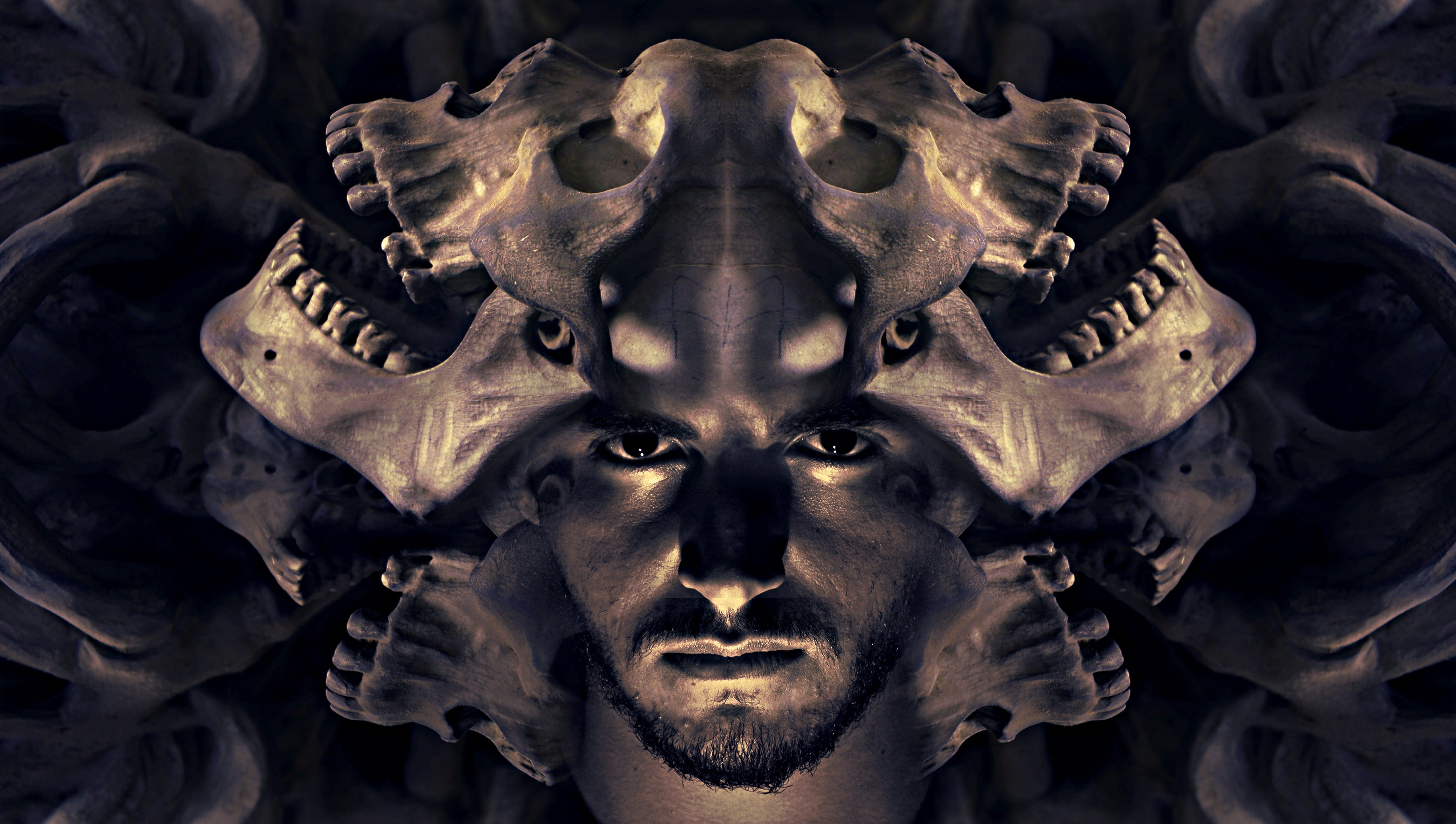 bearded man beside human skulls fantasy portrait skull and crossbones 2k 4k 5k