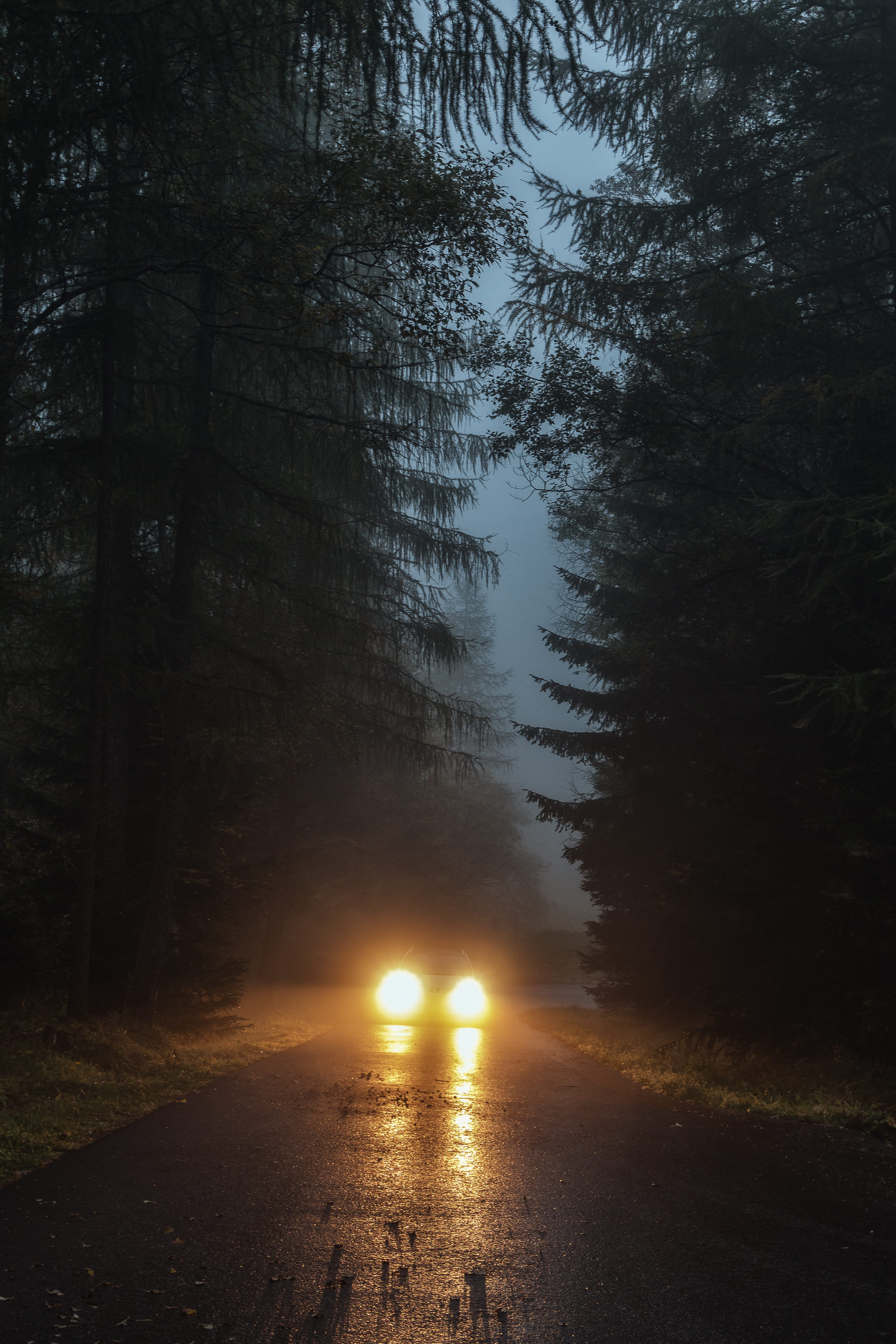 car driving in foggy forest during nighttime between trees near building 2k 4k