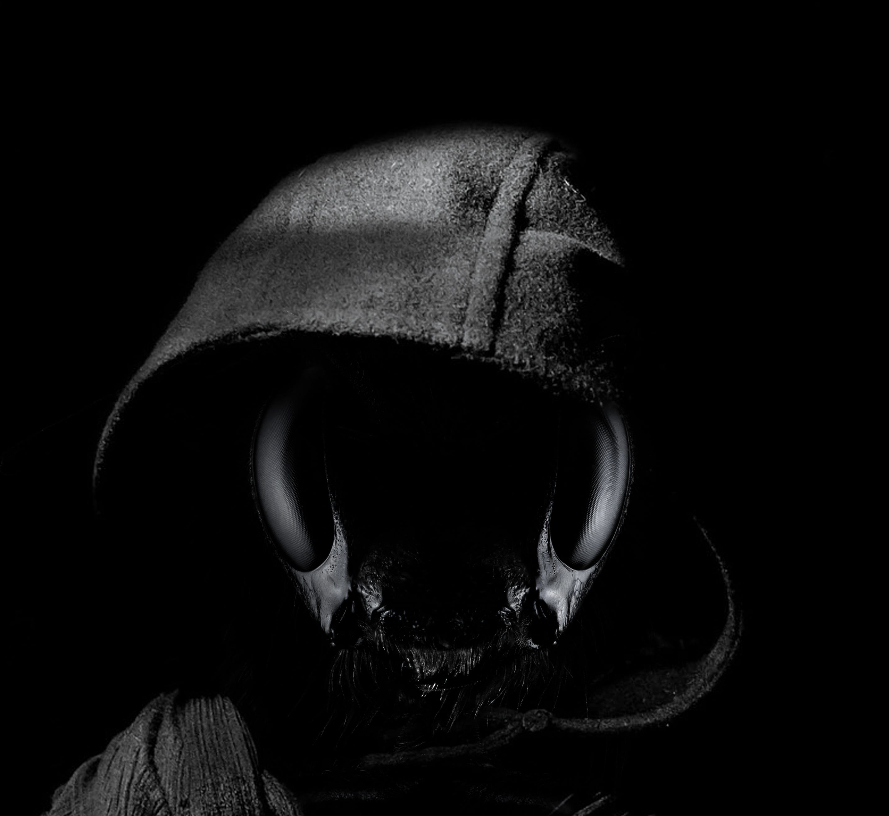 composing fear horror weird creepy scare scary gloomy 2k