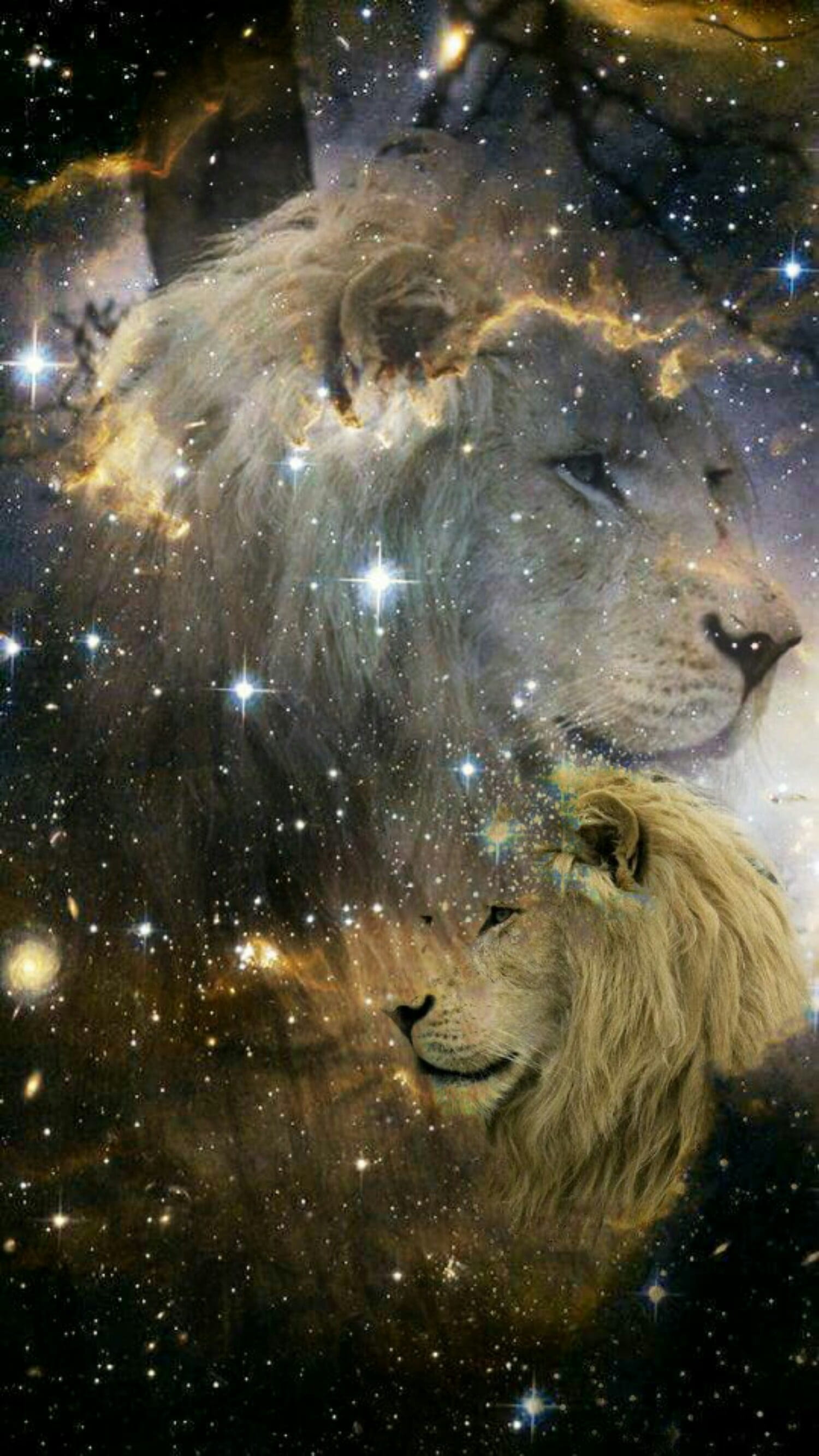 composing lion star fantasy mystical no people mammal 2k