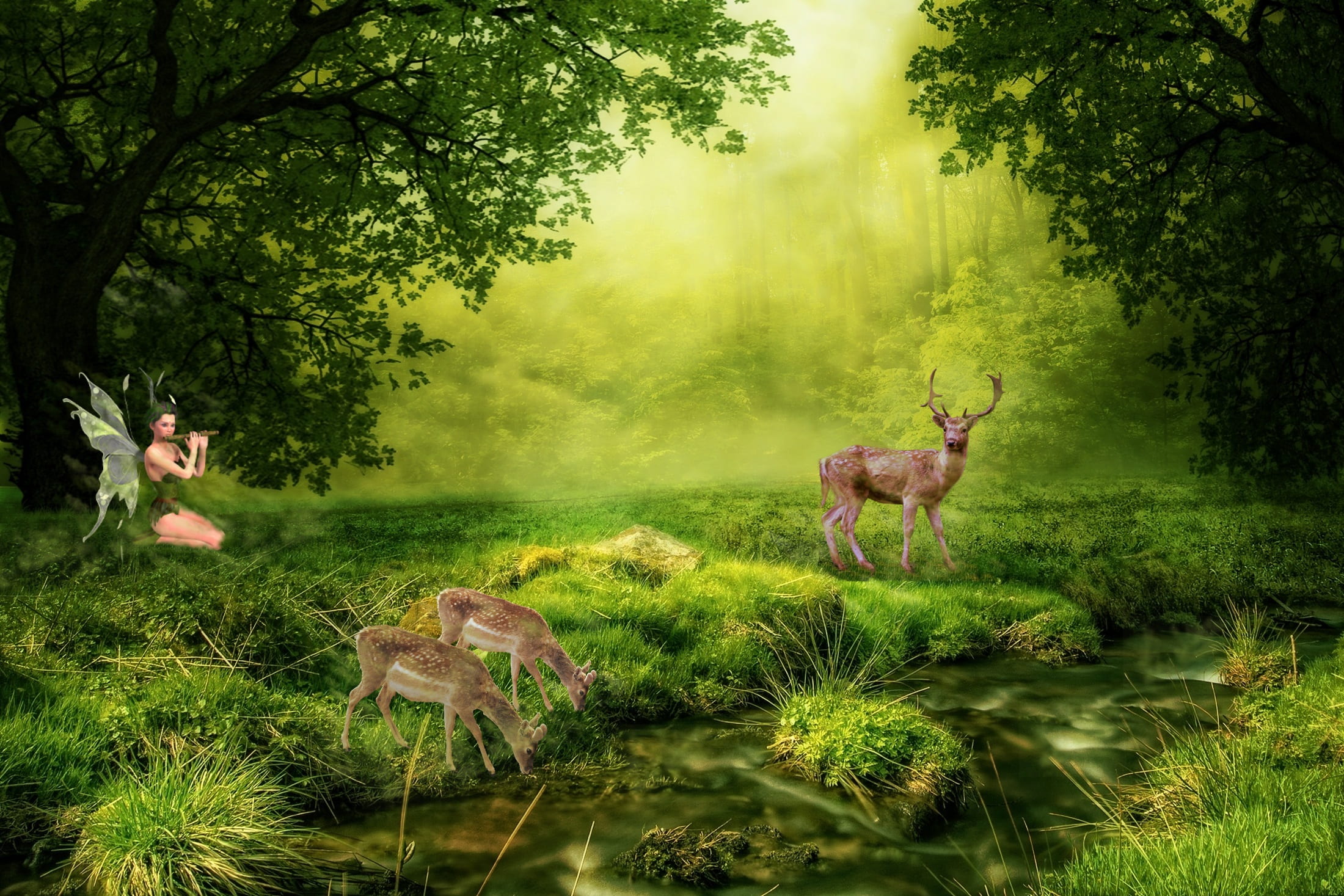 fairy playing float near lake with deer digital wallpaper nature 2k