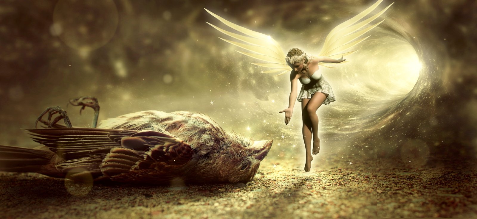 fantasy bird death angel elf fee tunnel light sparrow 2k 4k 5k