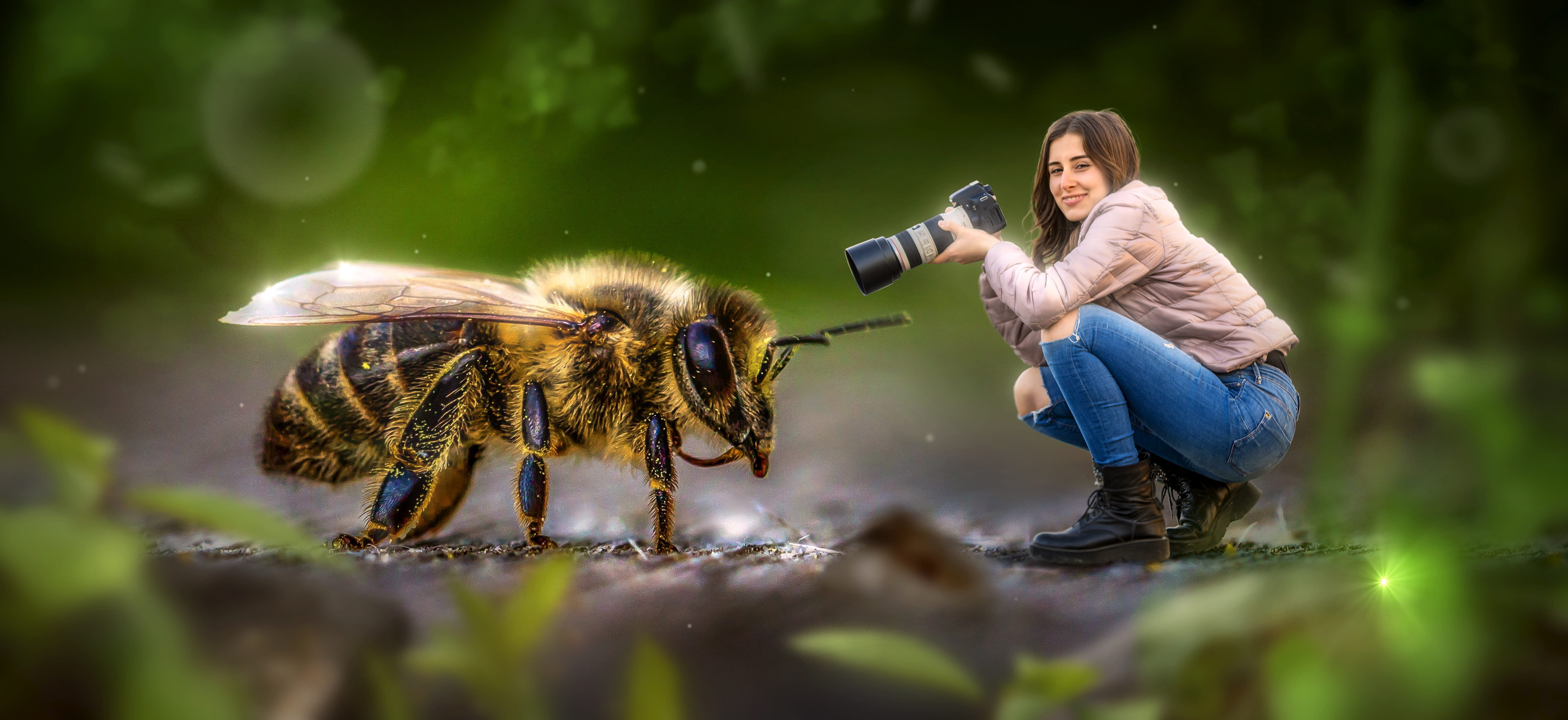 fantasy macro bee woman camera peaceful admiration nature 2k 4k 5k