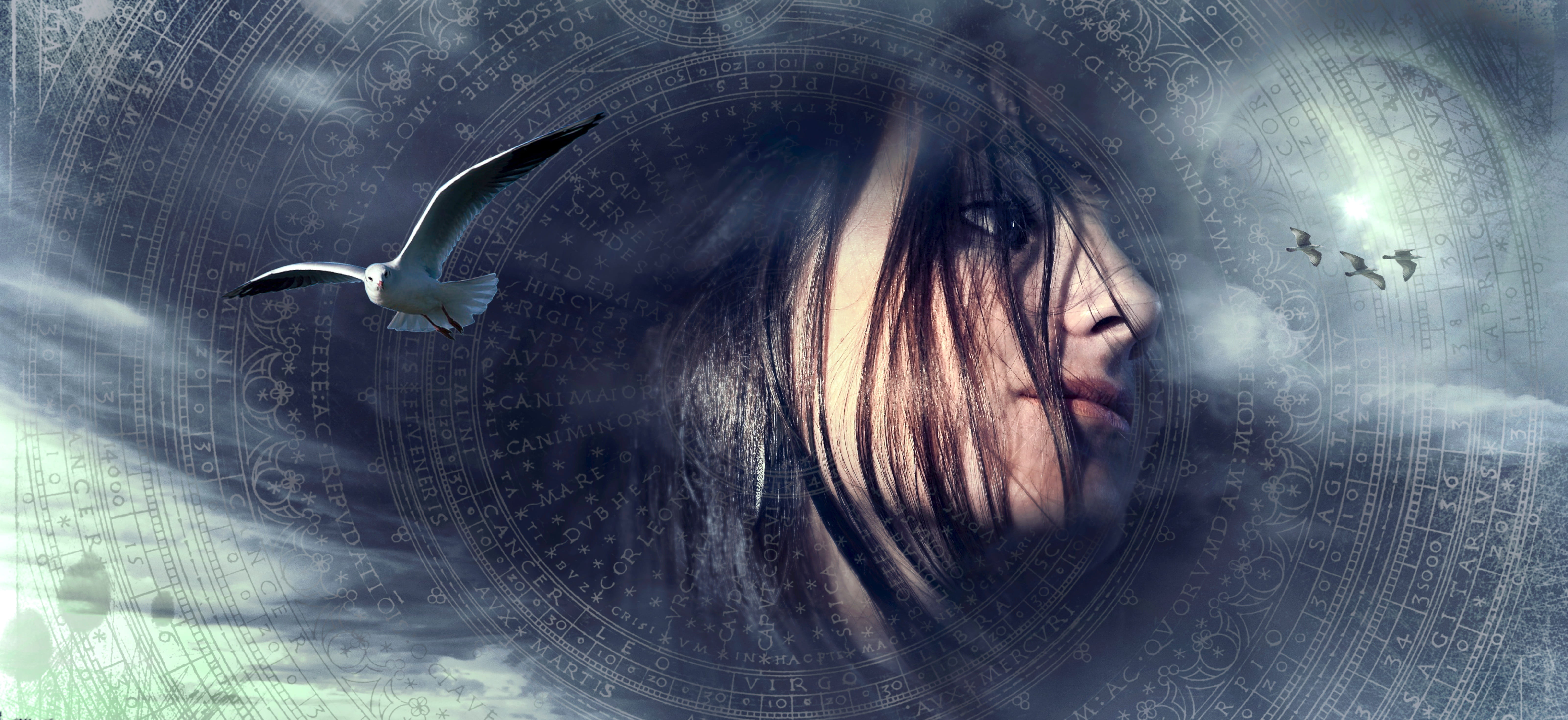 fantasy portrait gull birds sky hair woman female light 2k 4k 5k