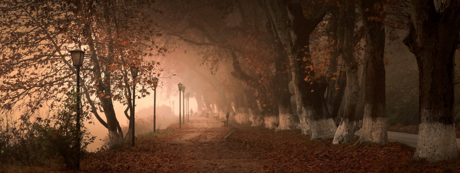 fog kastoria greece mood nature magic atmosphere cold 2k 4k 5k 8k 10k