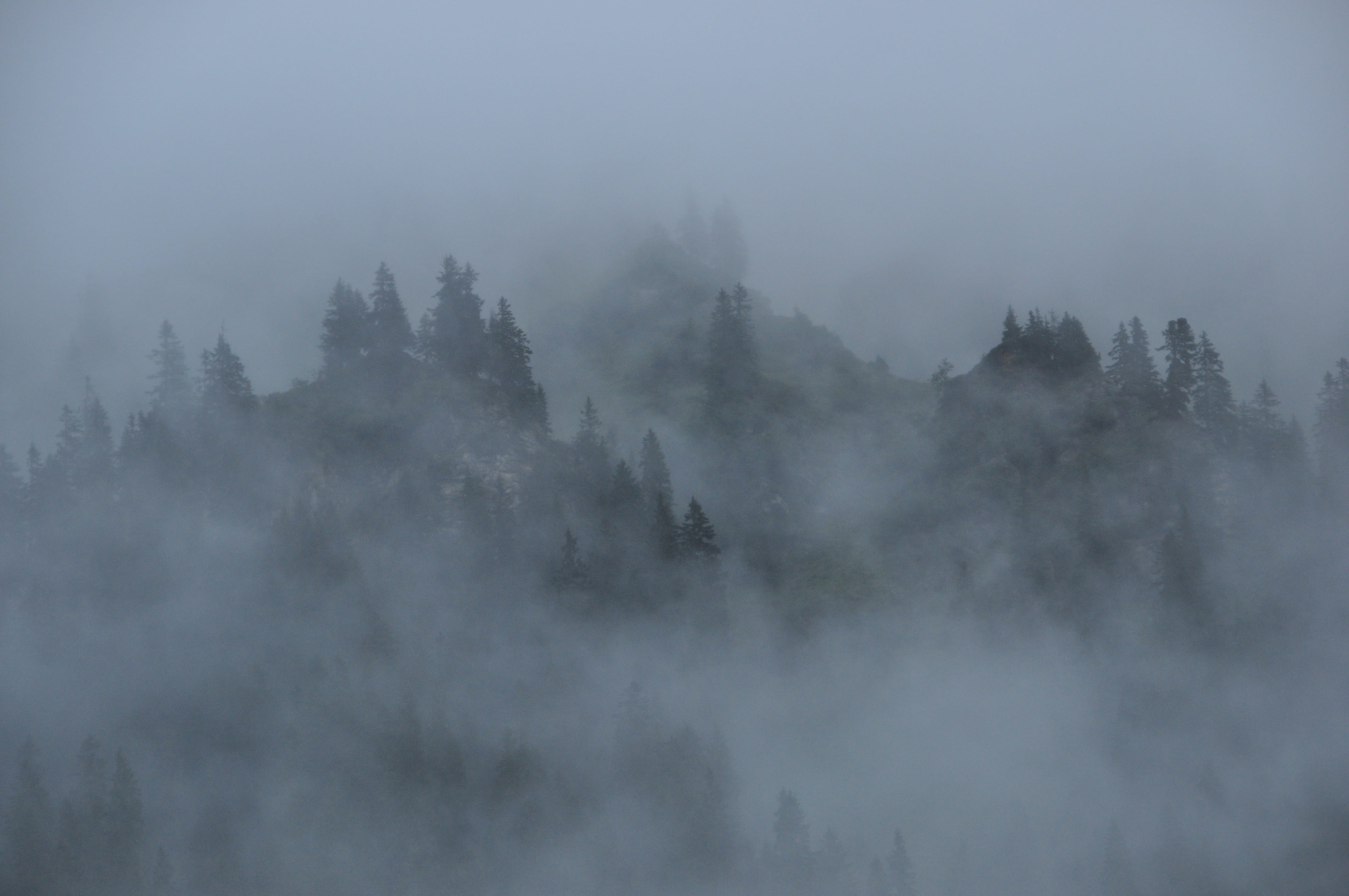foggy mountain clouds mountains forest nature landscape 2k 4k