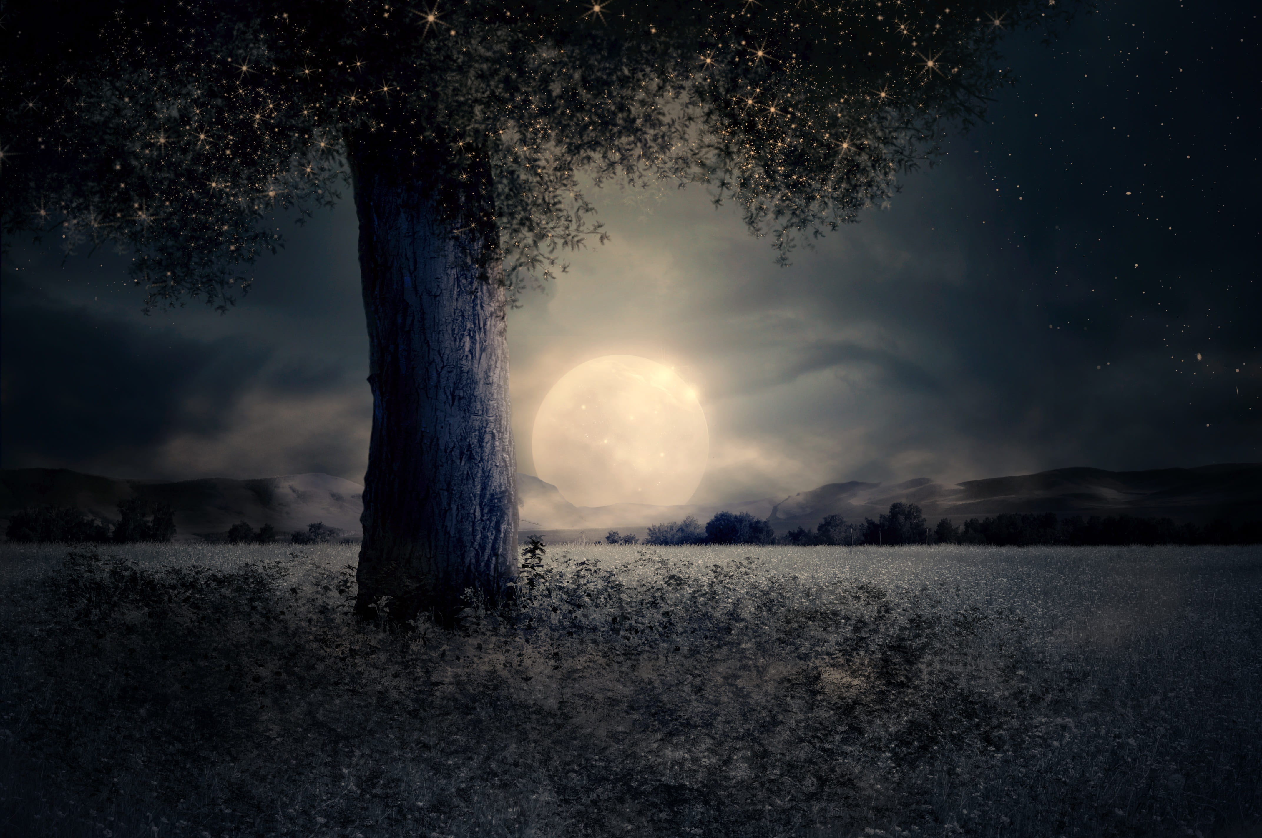 full moon over green foliage tree and field night landscape 2k 4k
