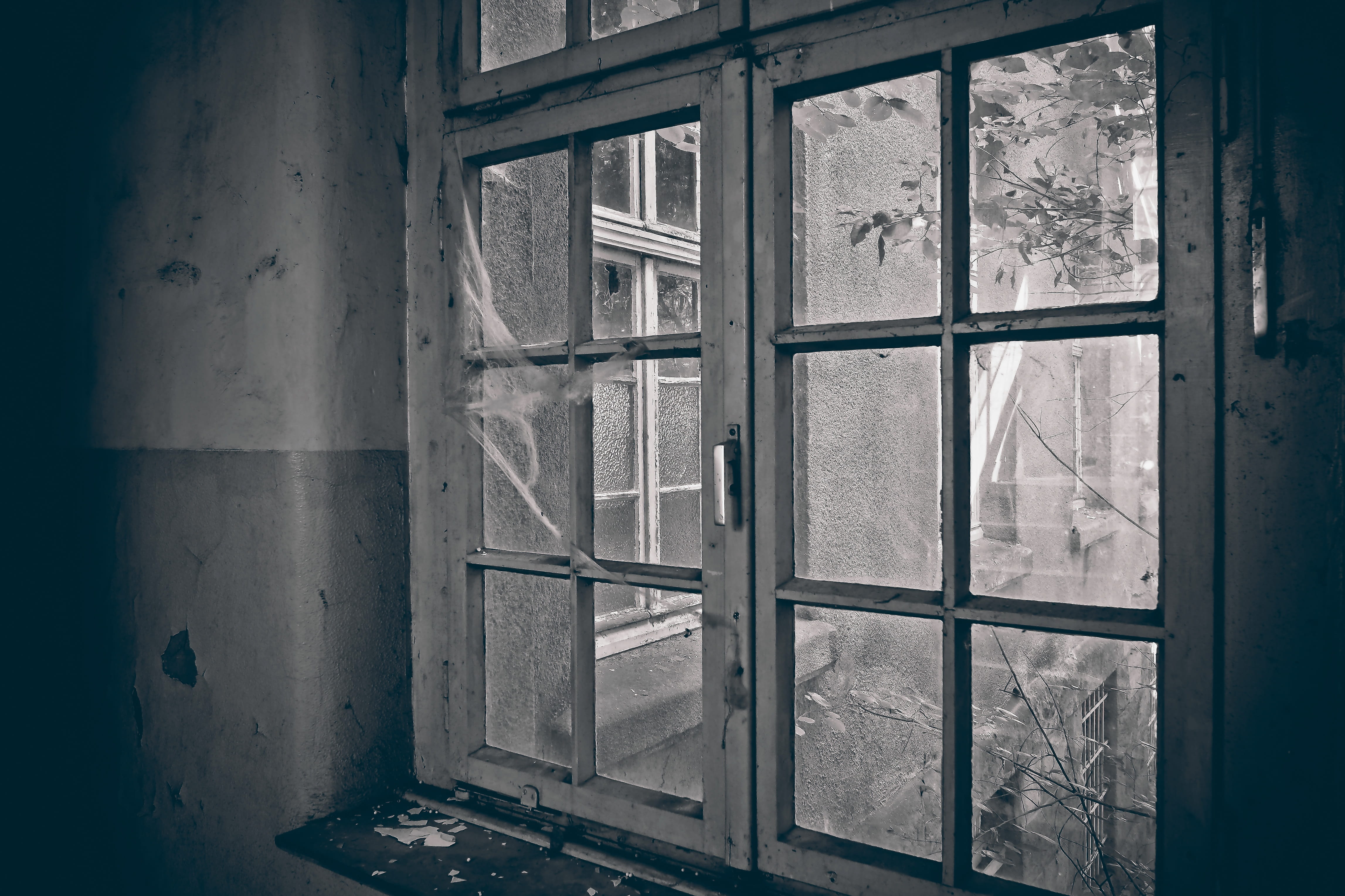grayscale photo of glass window during daytime Lost Old Ruin 2k 4k 5k