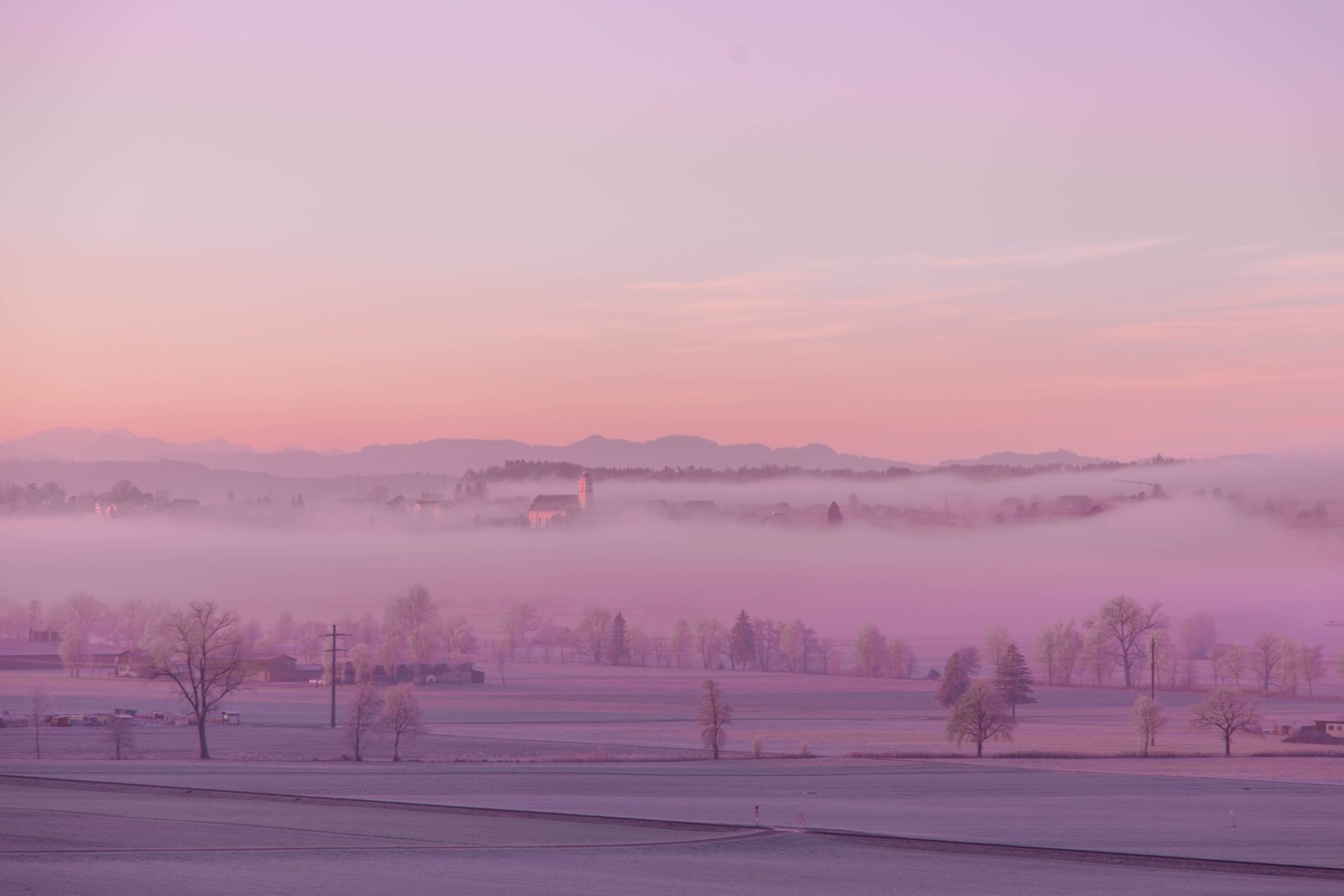 green leaves trees near snow area during daytime Nebel Europa 2k 4k 5k