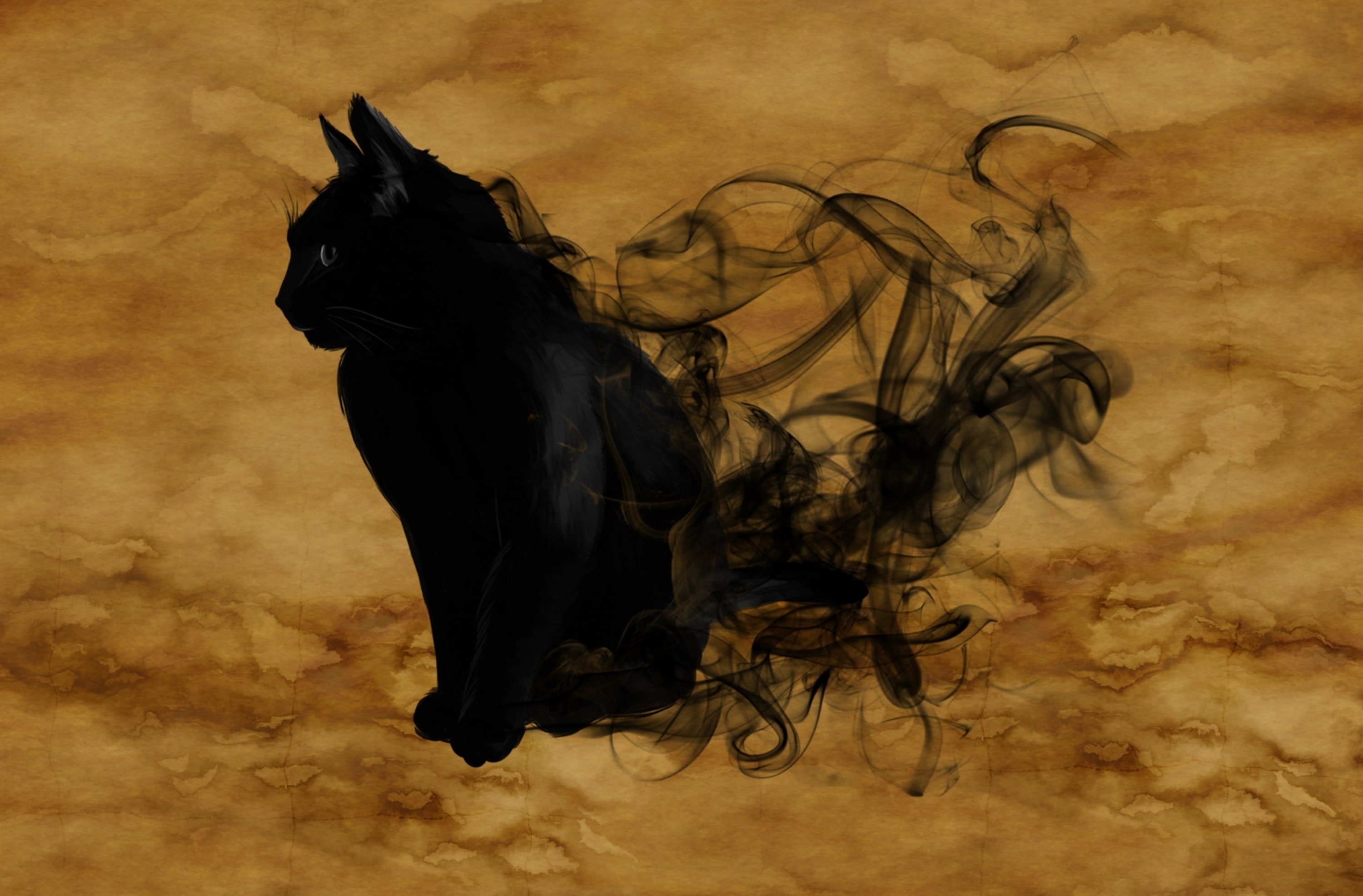 Halloween Black Cat Holidays Magic Smoke Silhouette Mystical 2k